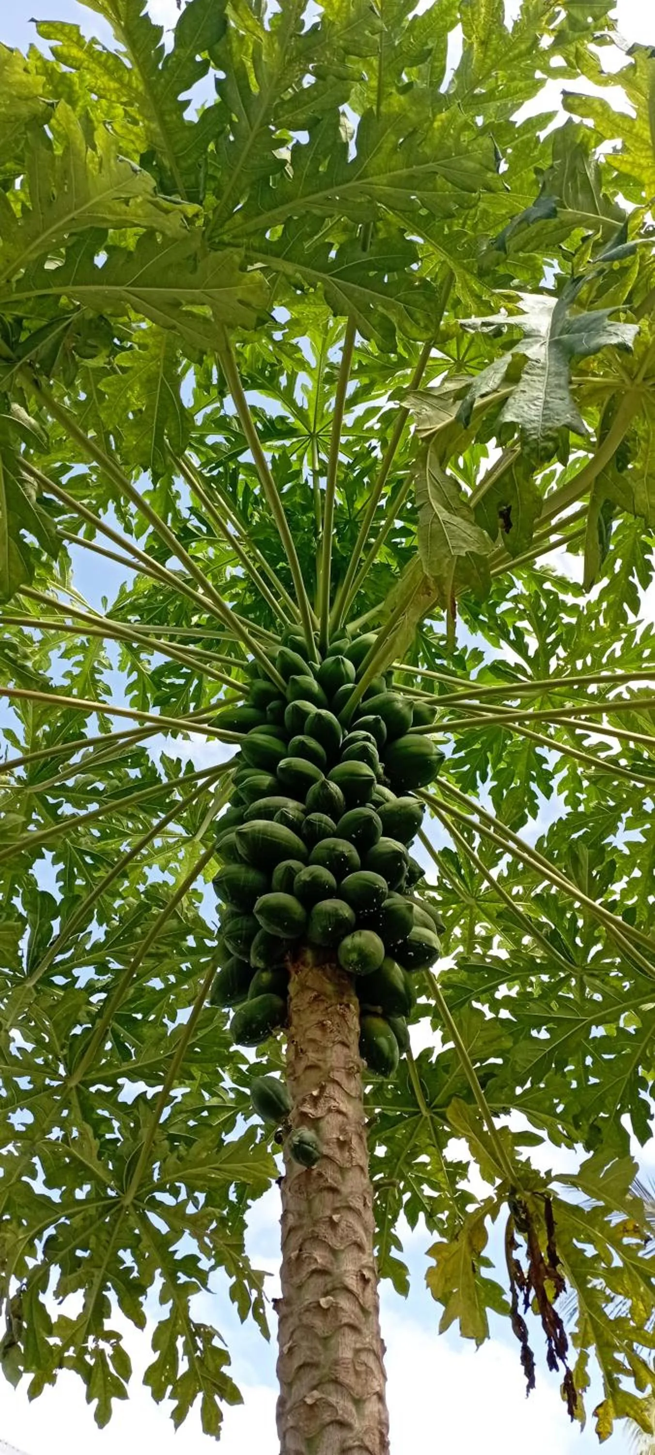 Natural landscape in Coral Bay Zanzibar