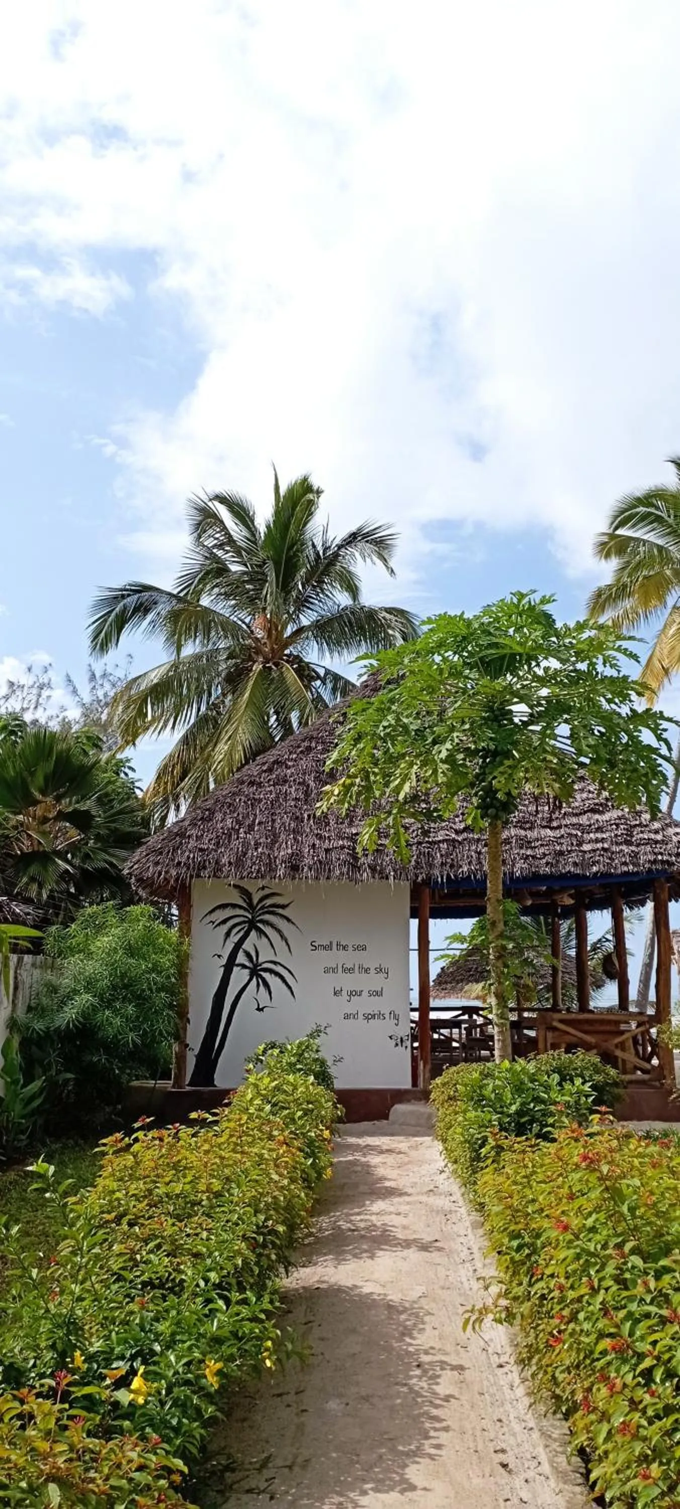 Garden in Coral Bay Zanzibar