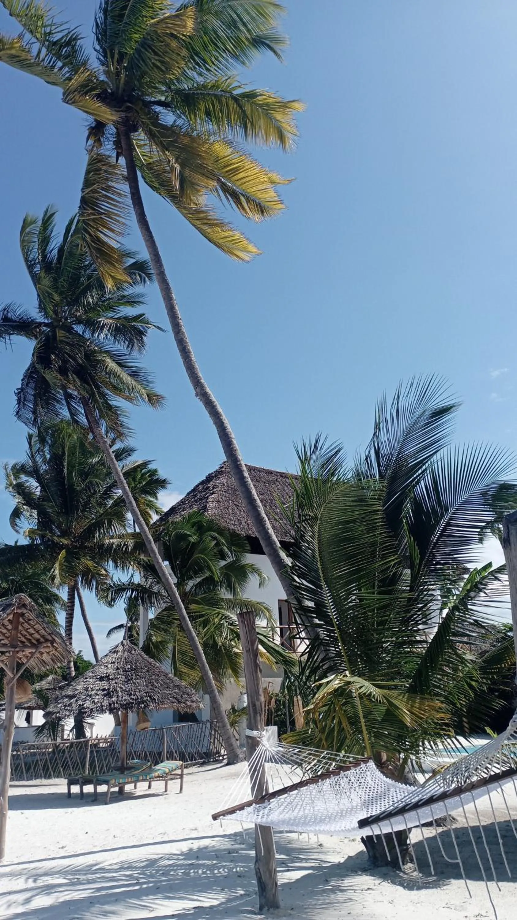 Coral Bay Zanzibar
