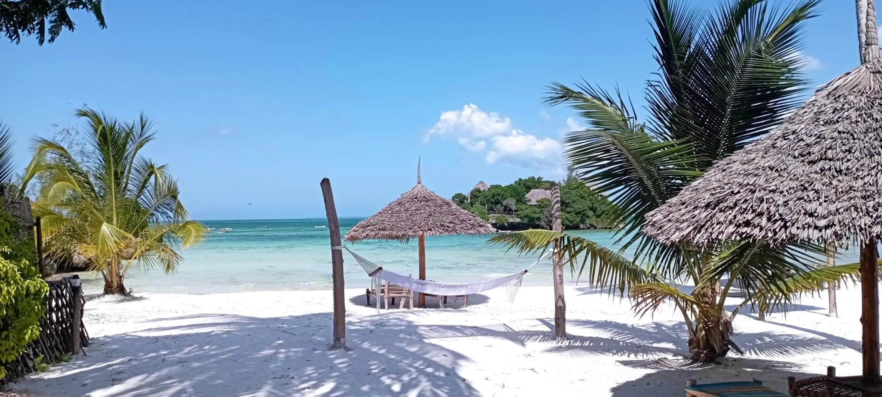 Beach in Coral Bay Zanzibar
