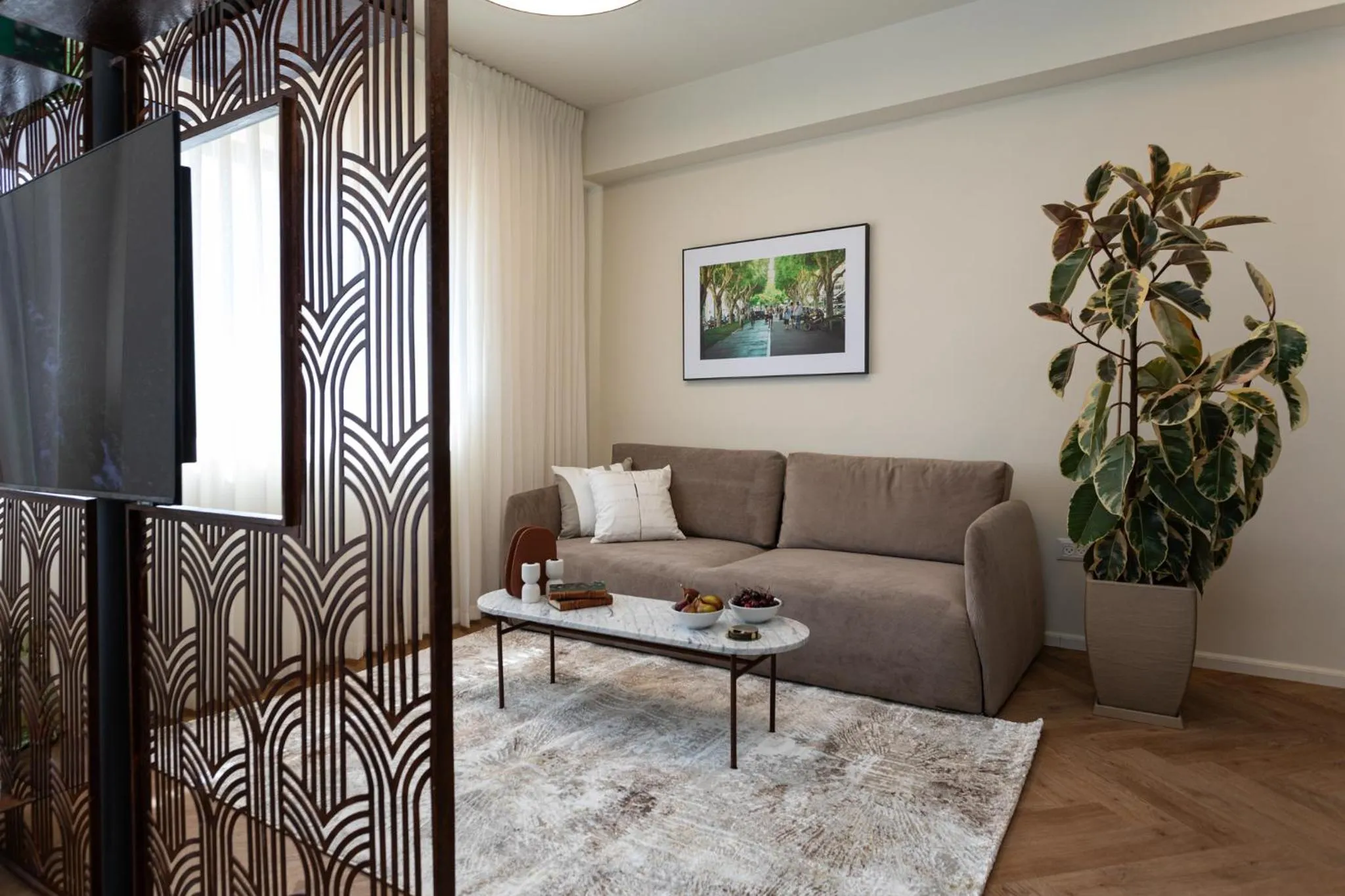 TV and multimedia in De Sheinkin