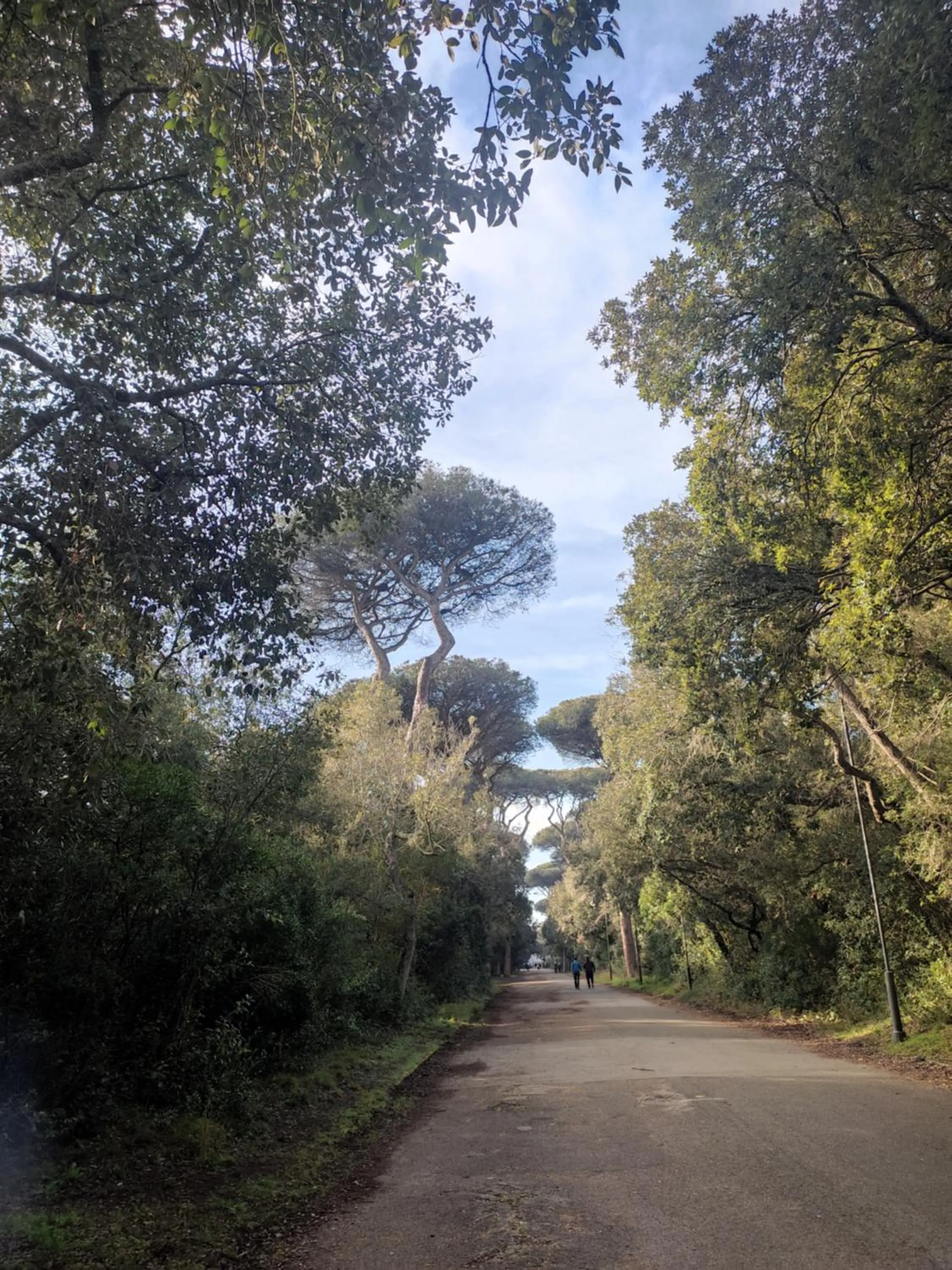 Natural landscape in Appartamento Lungomare Toscanelli