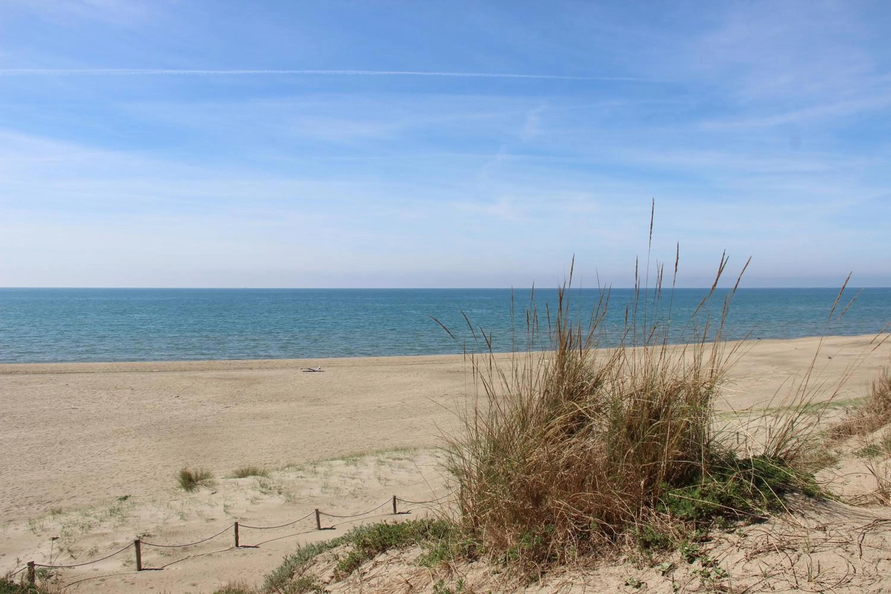 Beach in Appartamento Lungomare Toscanelli