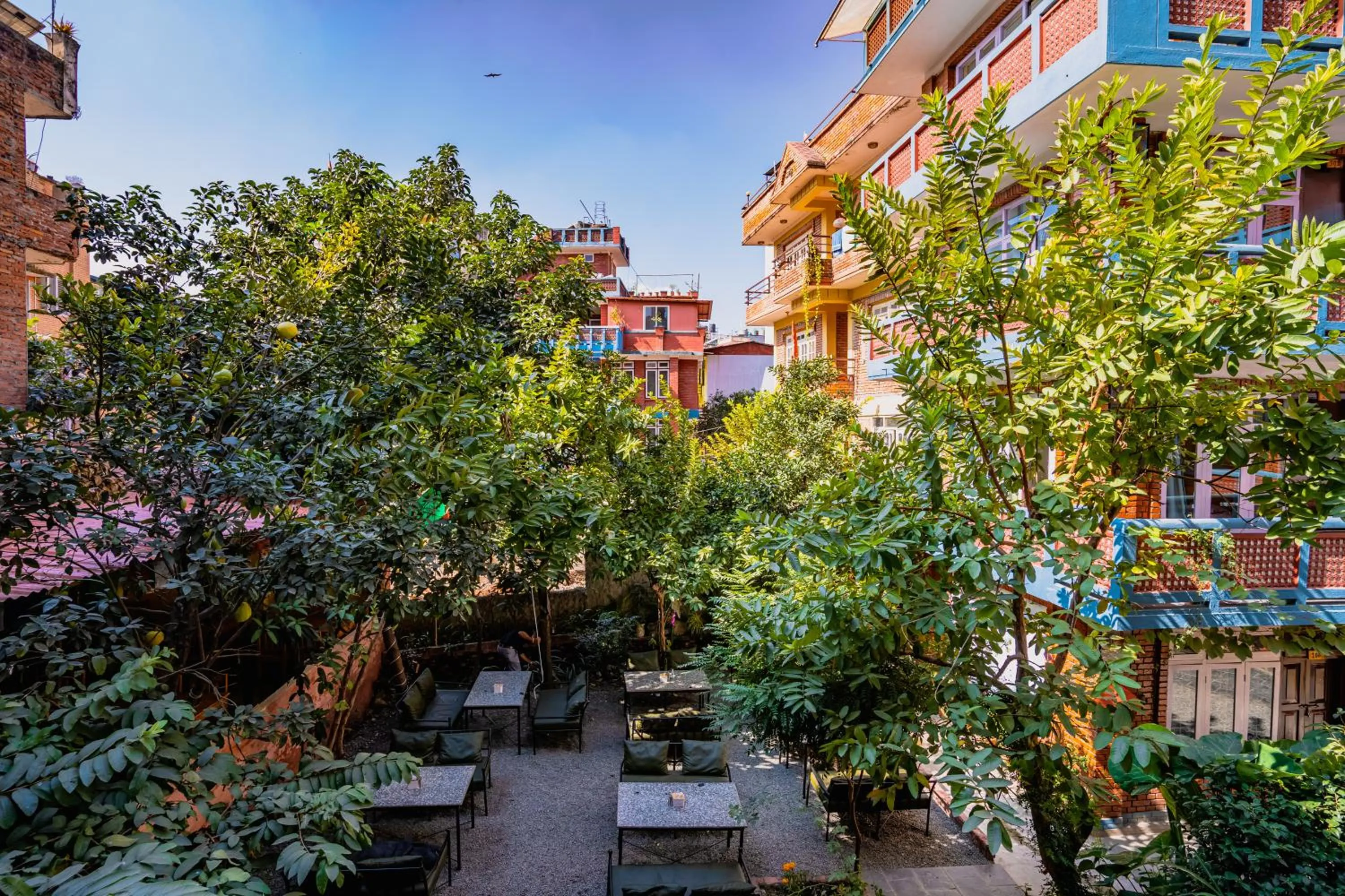 Restaurant/places to eat in Kwabahal Boutique Hostel