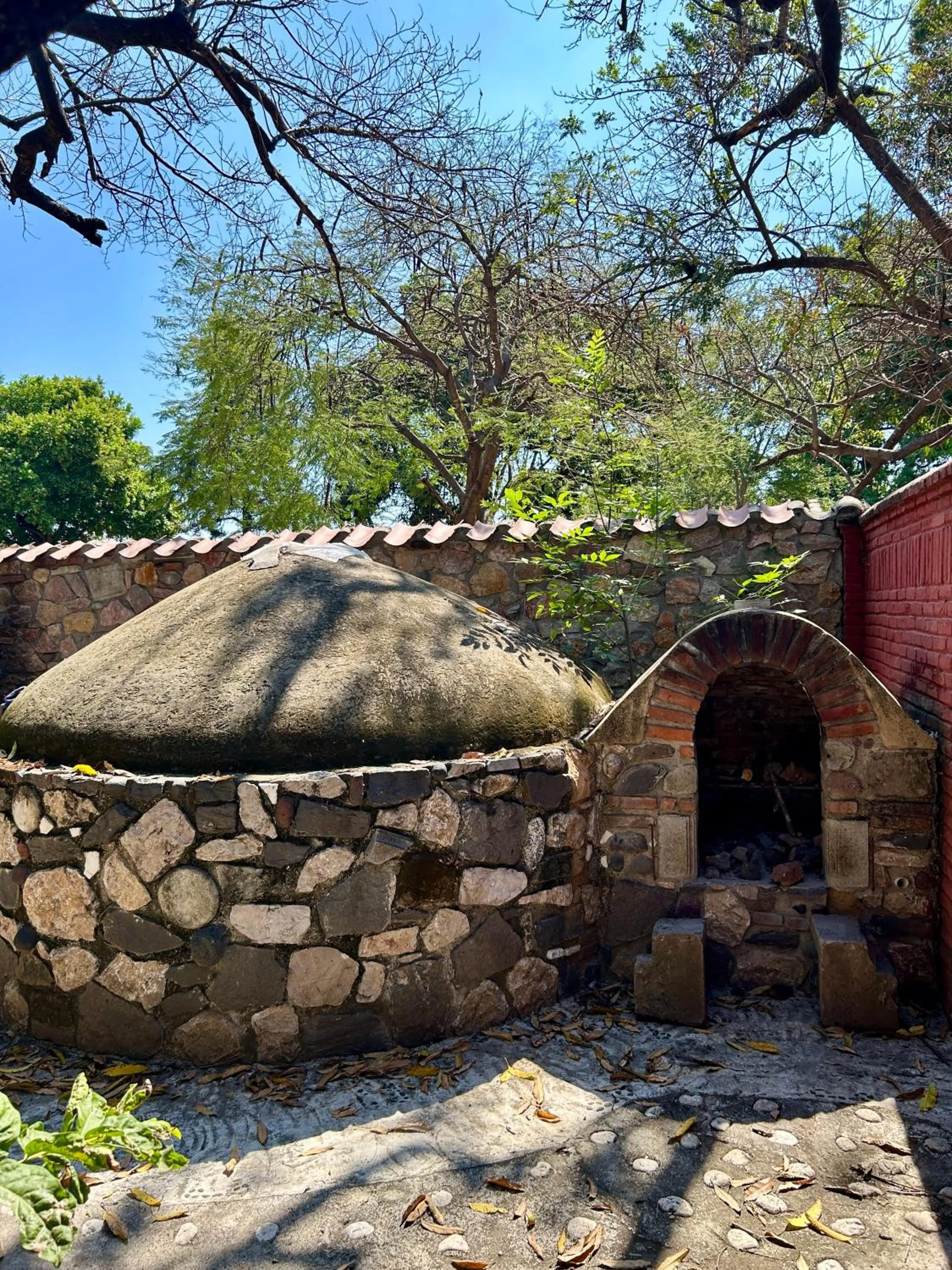 Spa and wellness centre/facilities in Casa De La O Yautepec
