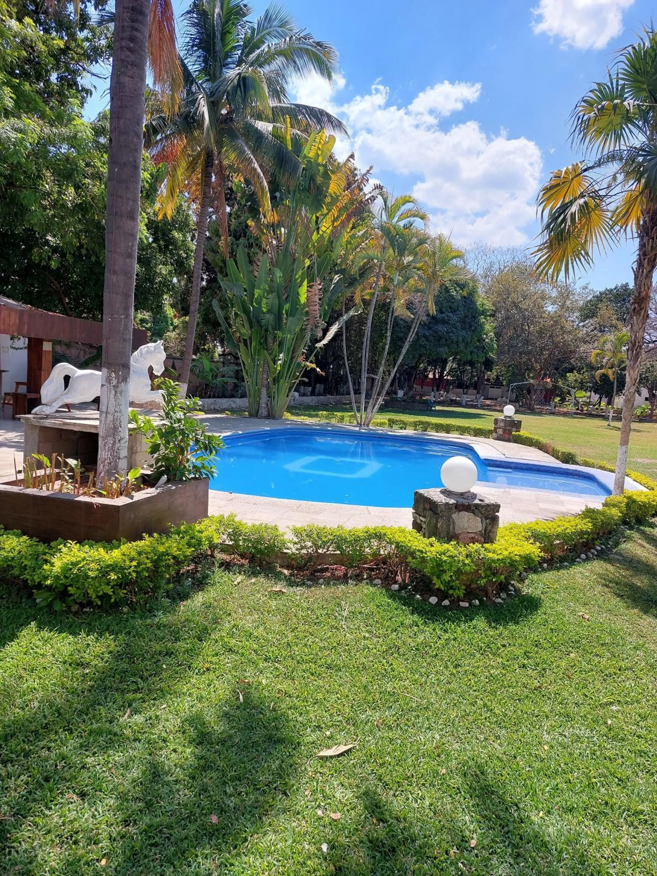 Pool view in Casa De La O Yautepec