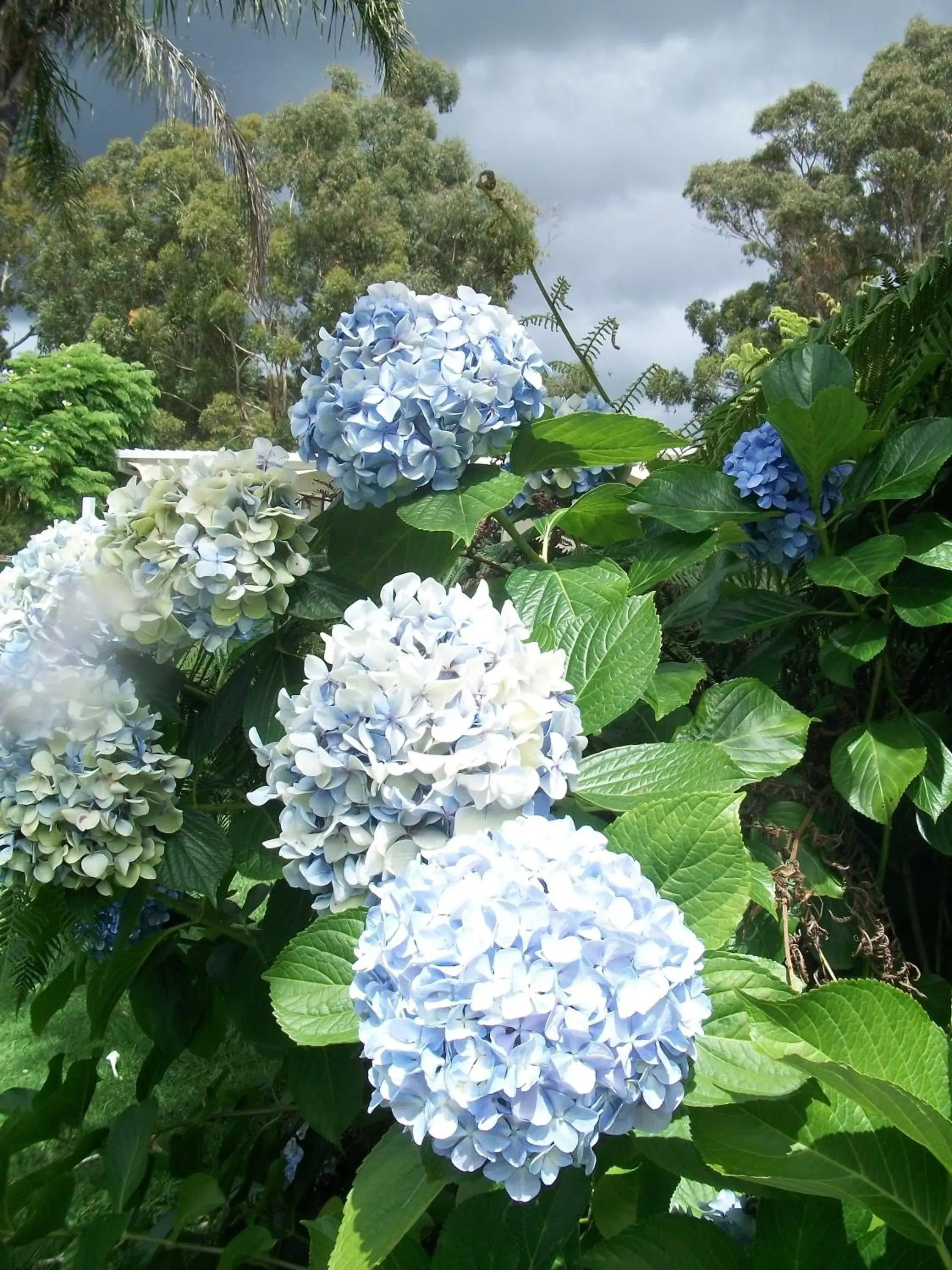 Bird's eye view in Top of the Lake Holiday Units Bird's eye view in Top of the Lake Holiday Units