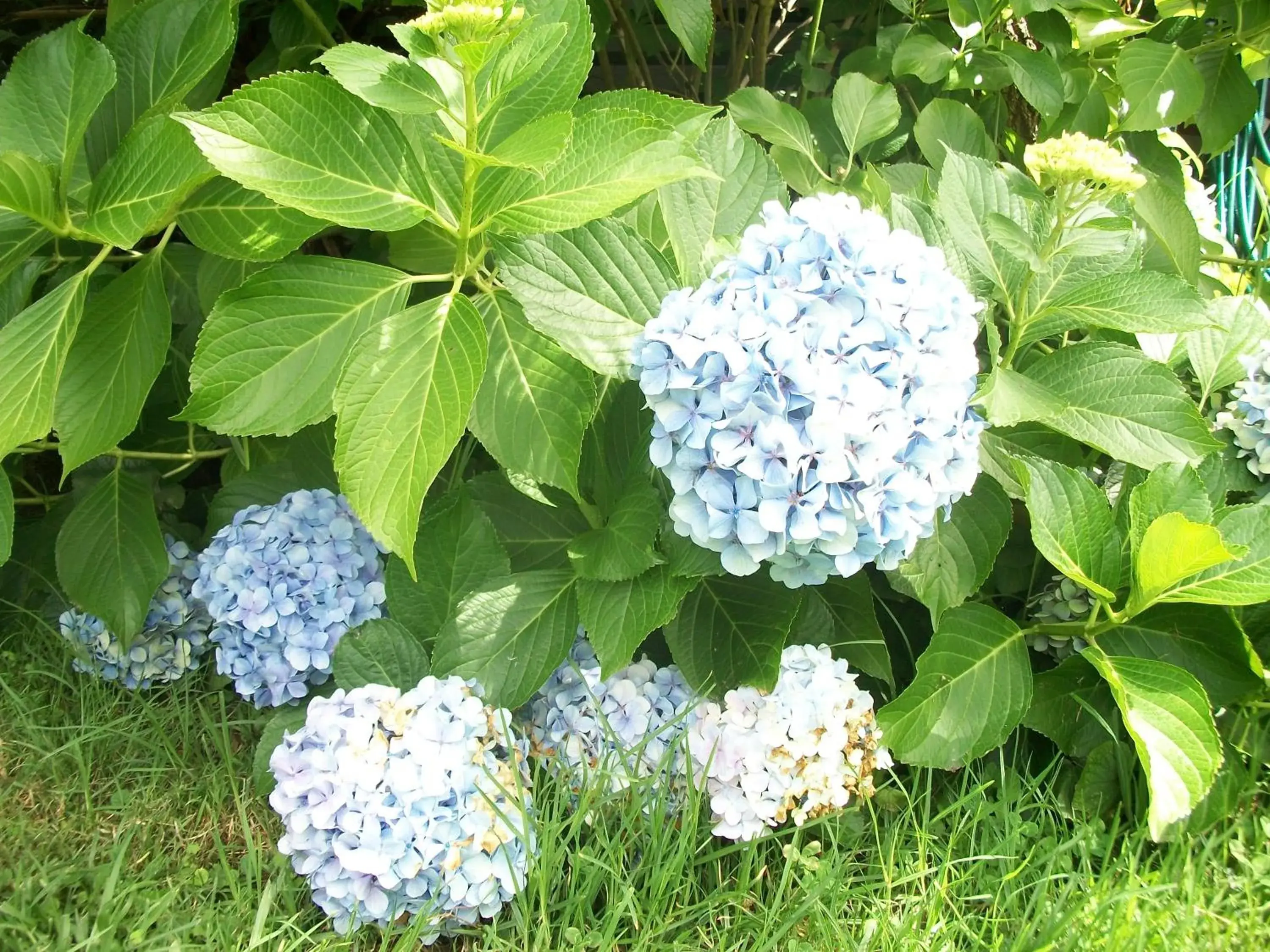 Bird's eye view in Top of the Lake Holiday Units Bird's eye view in Top of the Lake Holiday Units