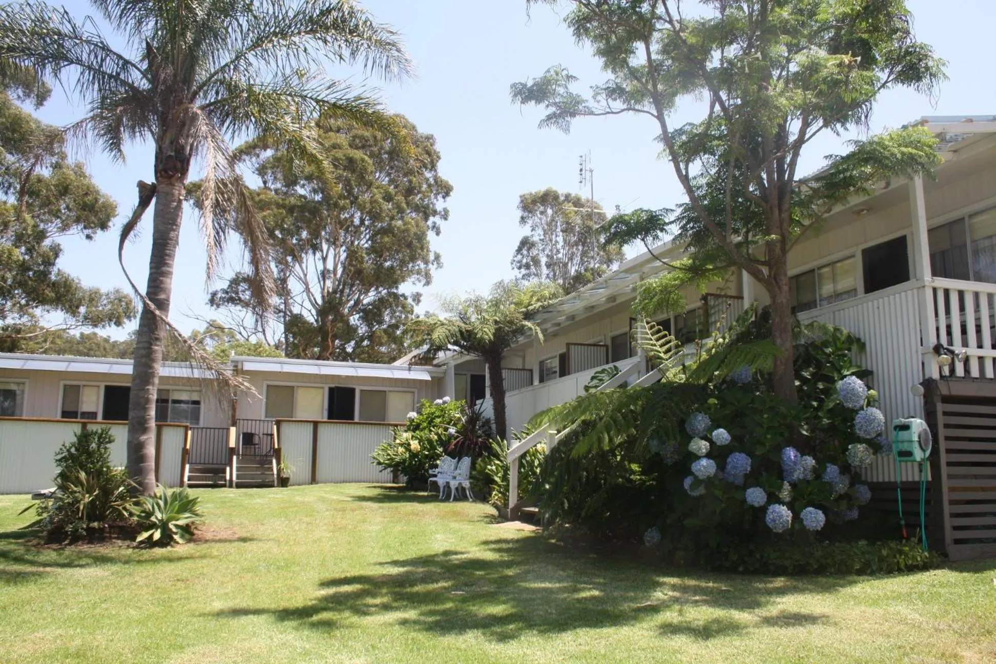 Garden view in Top of the Lake Holiday Units