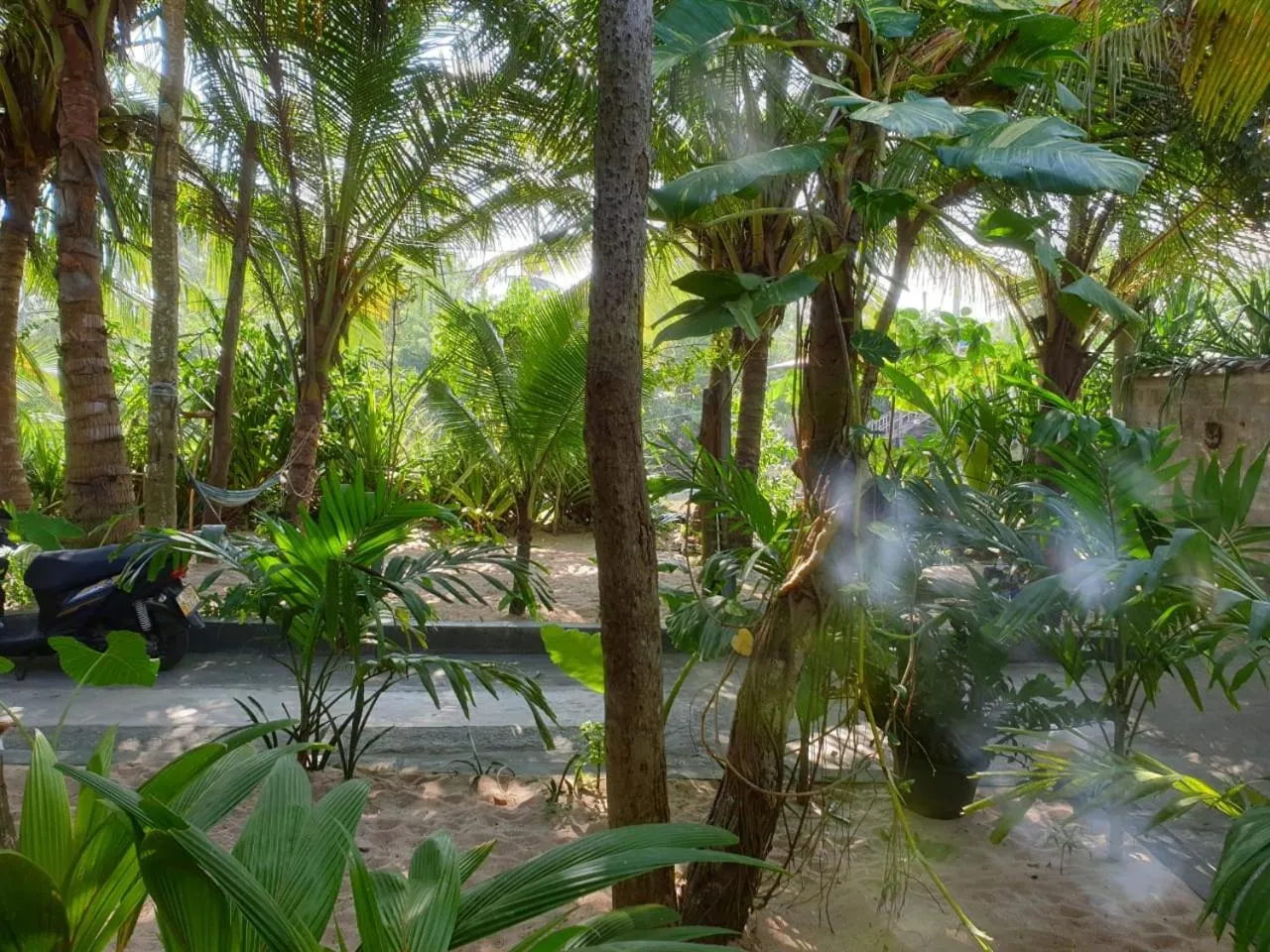 Garden view in Gems Garden Guest House