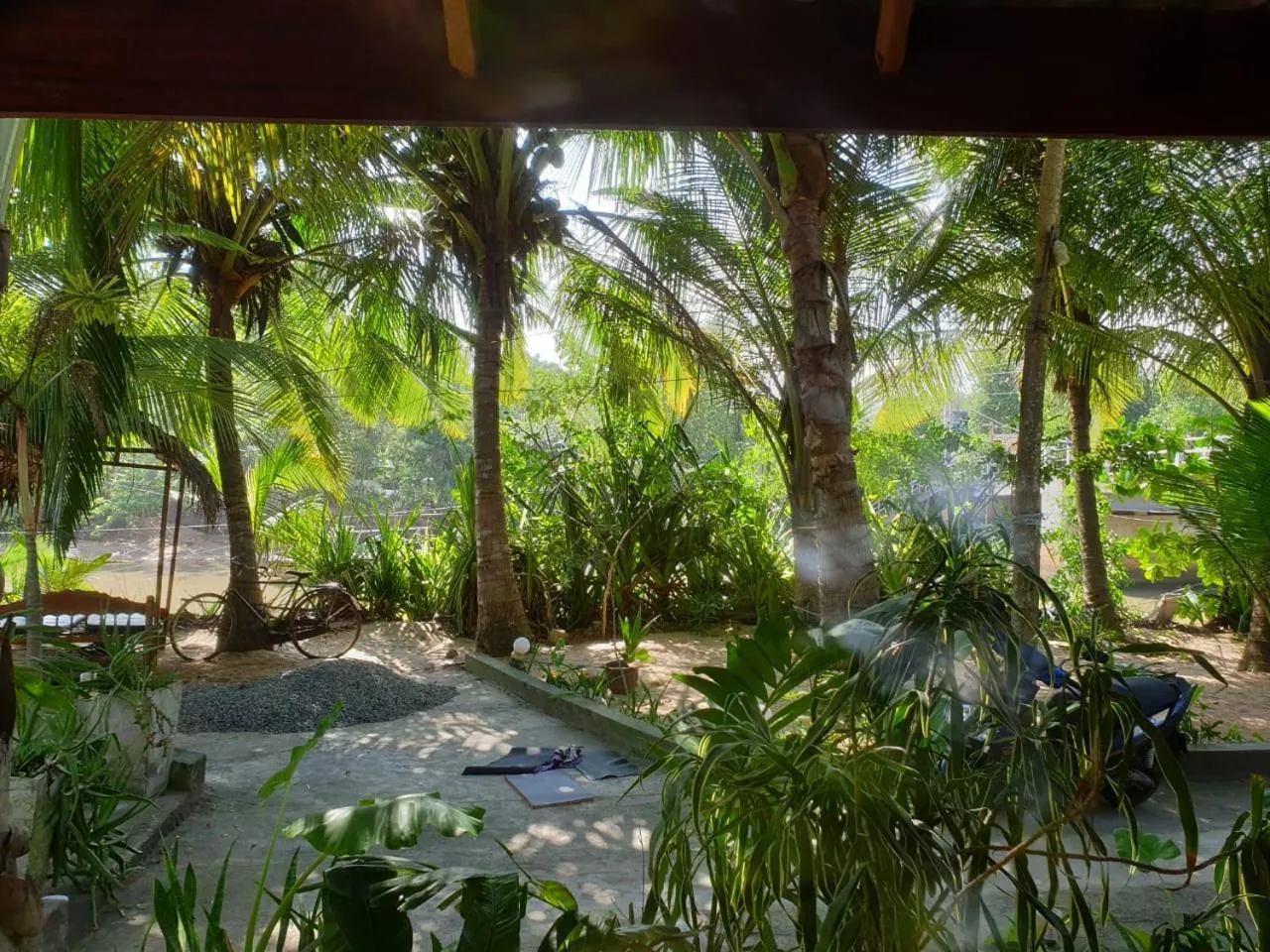Garden in Gems Garden Guest House