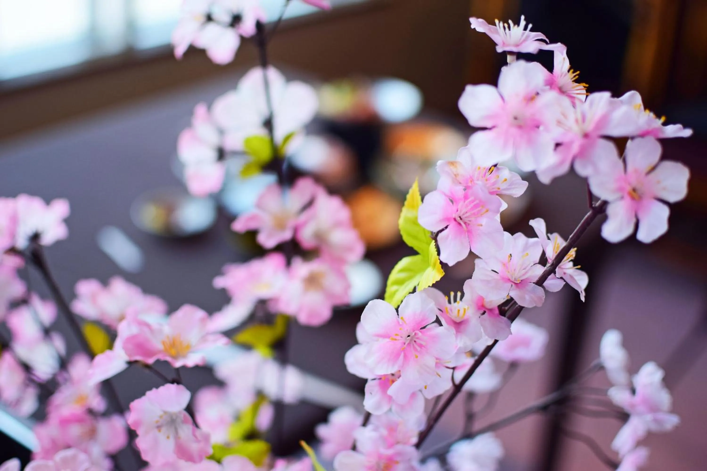 Lobby or reception in Highland Furano