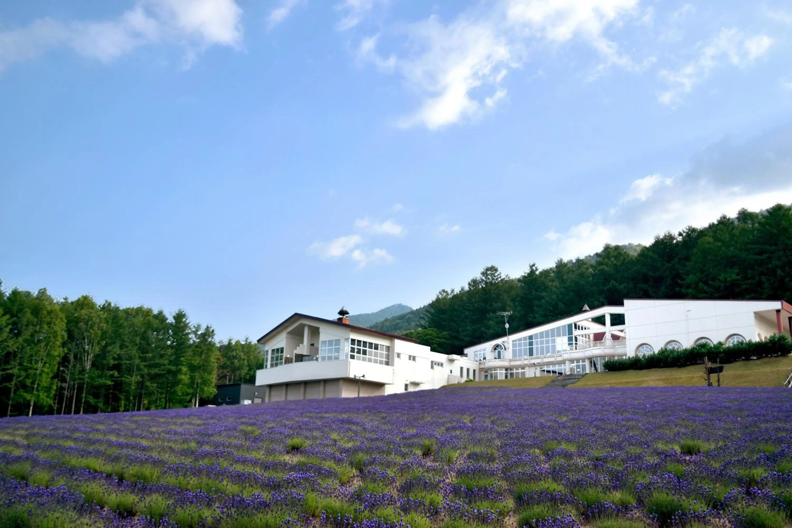 Property building in Highland Furano