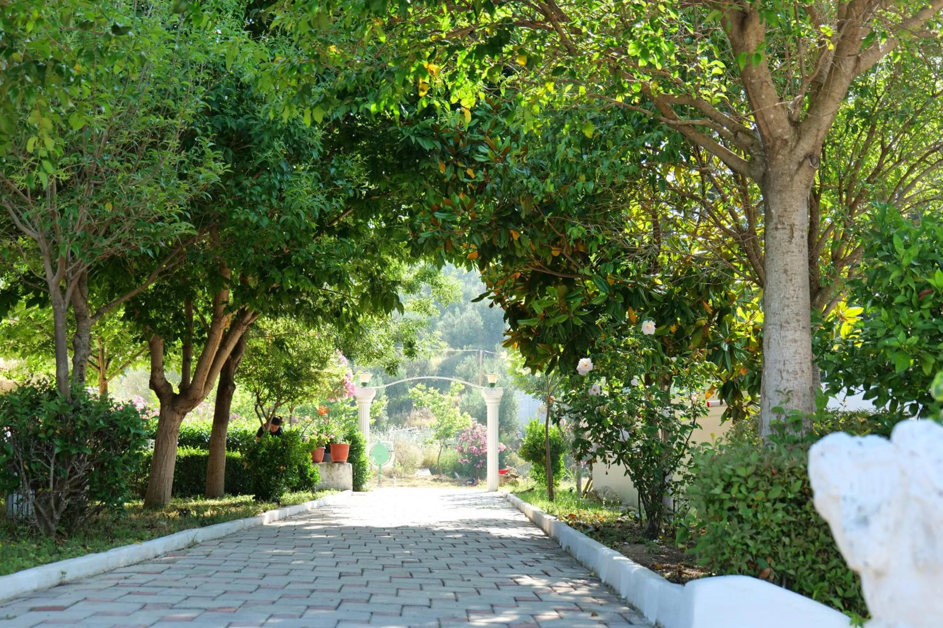 Patio in Edva Resort