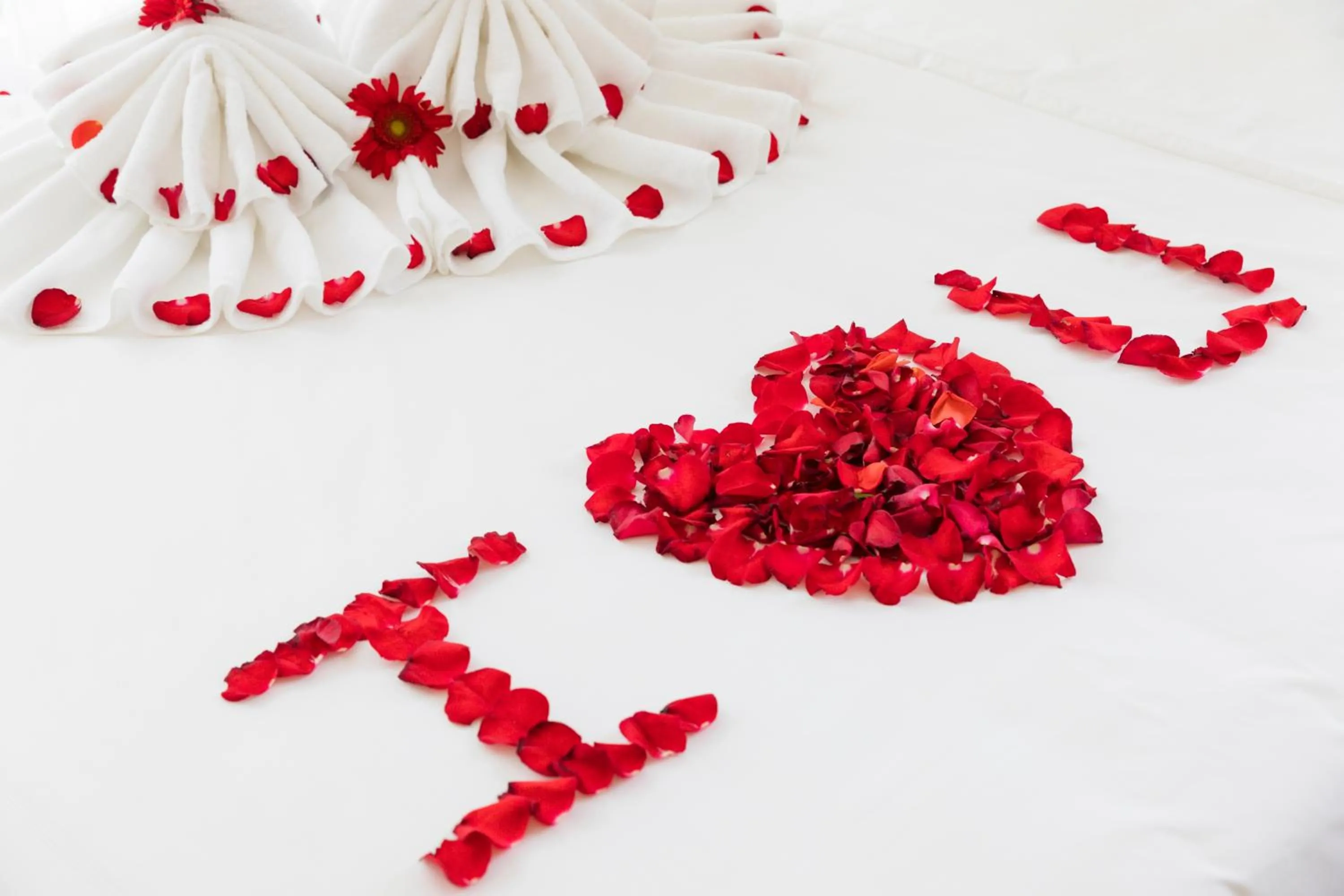 Decorative detail in AQua Hotel & Spa