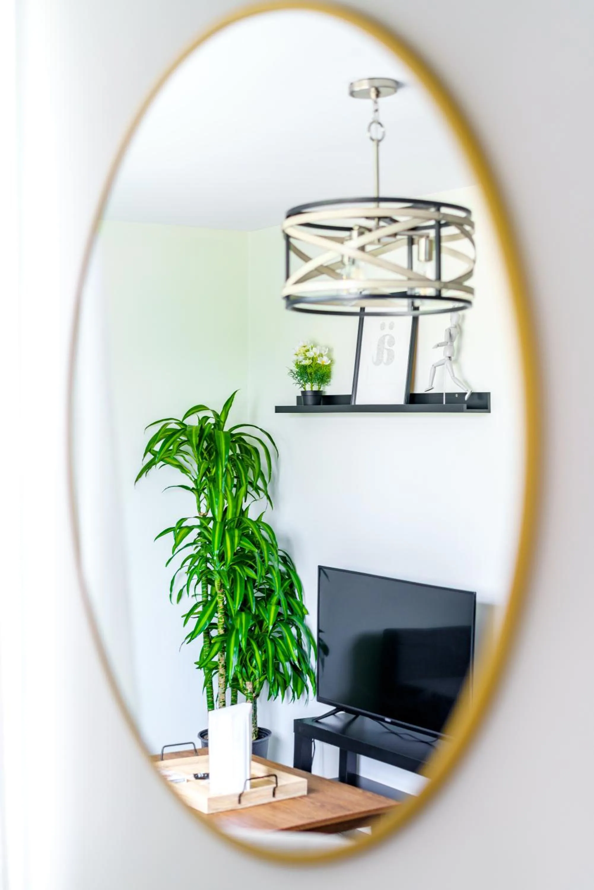 Living room in Jungle House Modern Lofts - Arena District & Short North