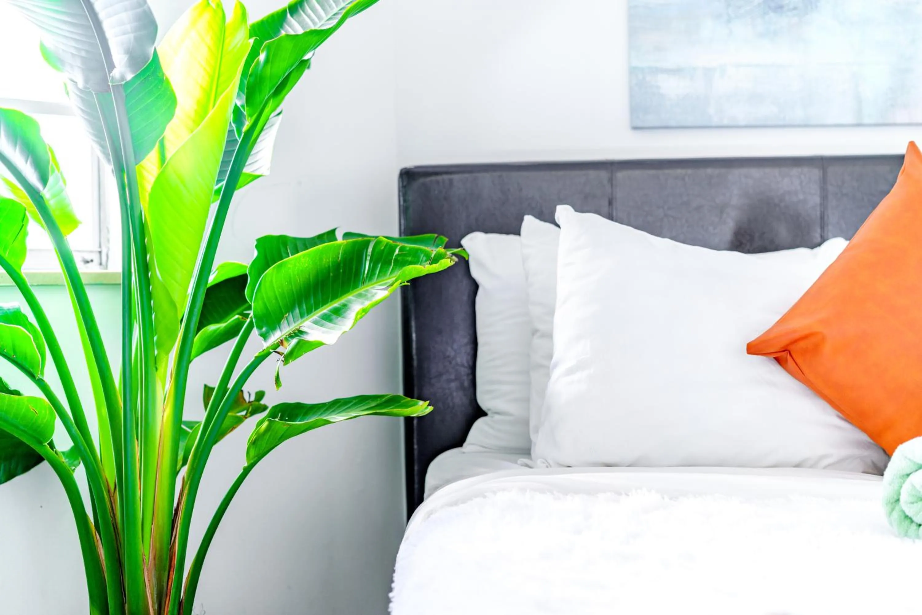 Bed in Jungle House Modern Lofts - Arena District & Short North