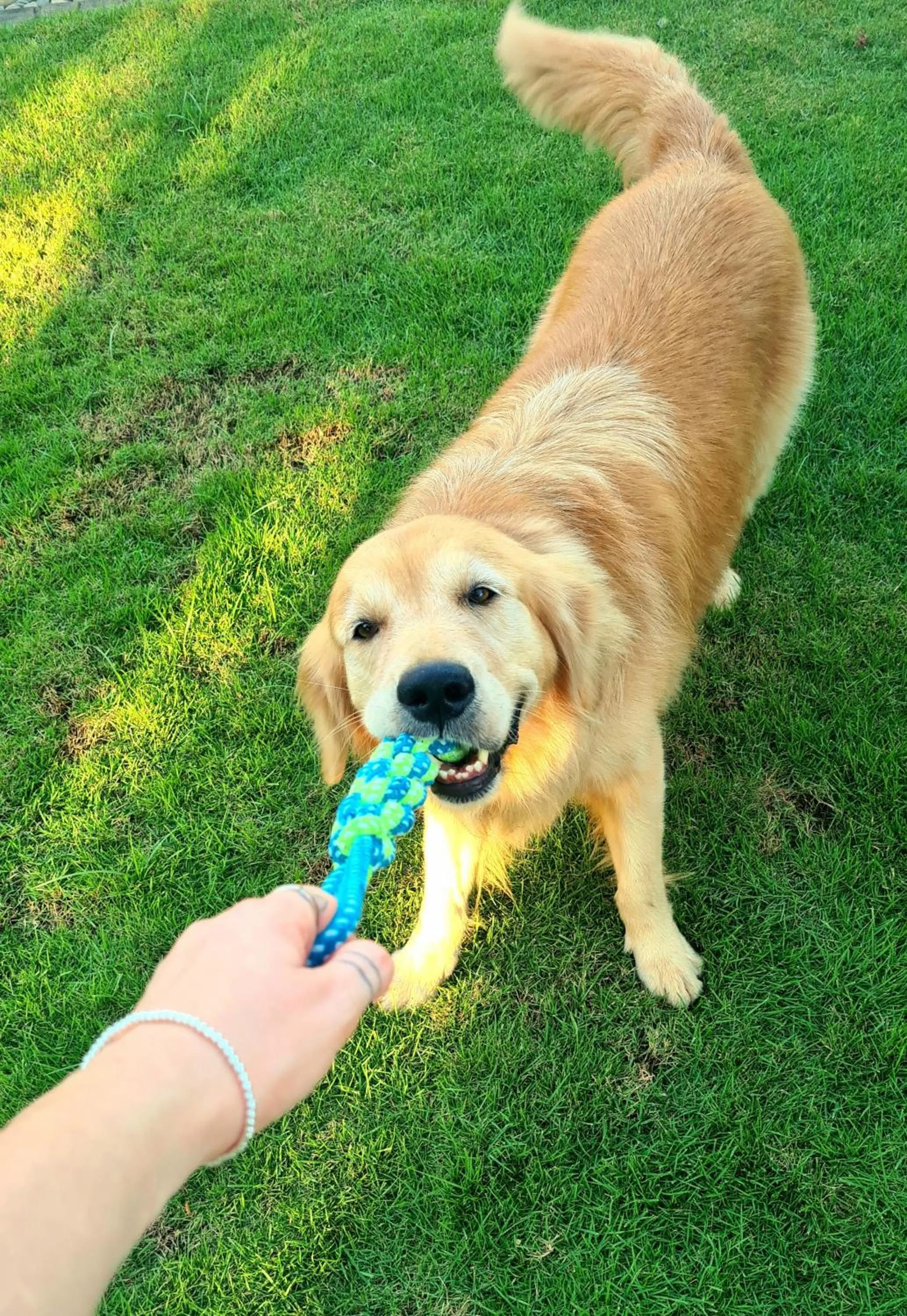 Garden in 148 Guesthouse and Resort