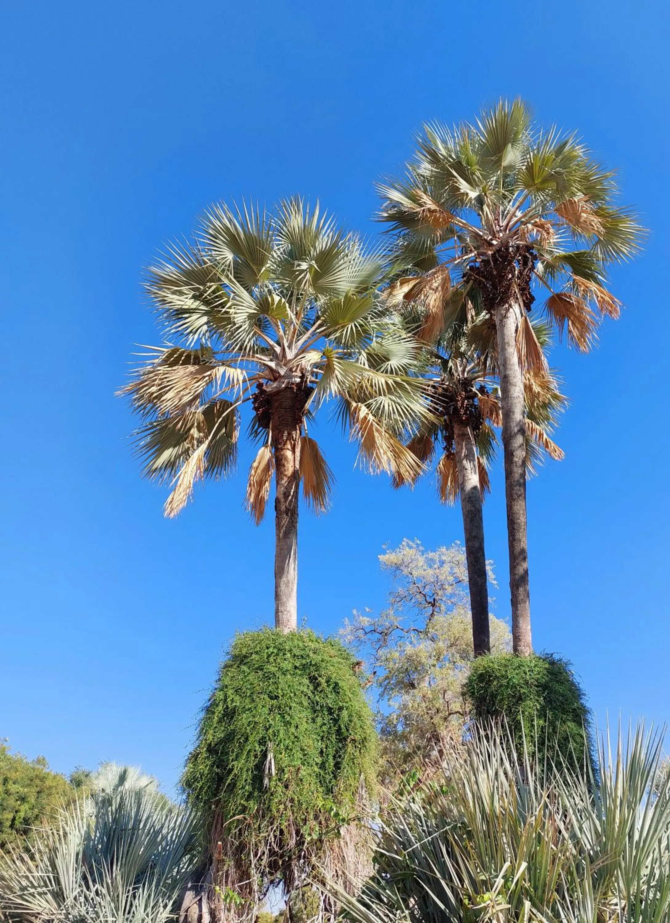 Activities in Opuwo Country Lodge