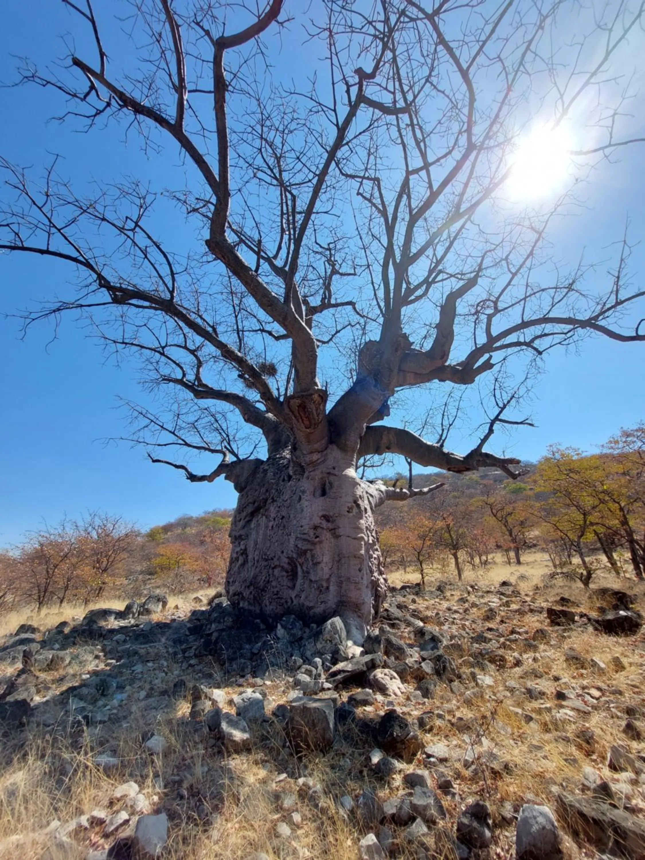 Natural landscape in Opuwo Country Lodge