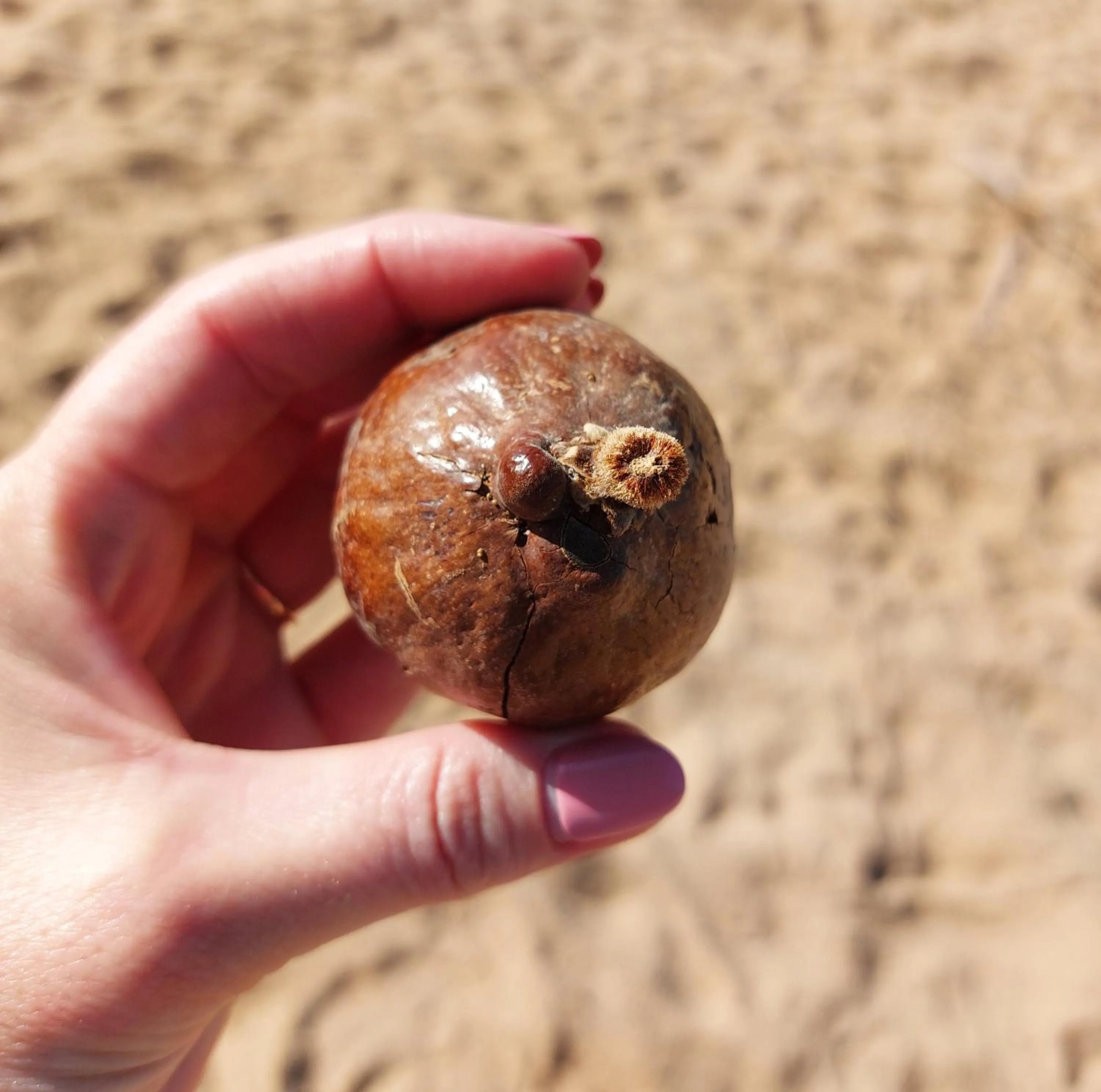 Activities in Opuwo Country Lodge