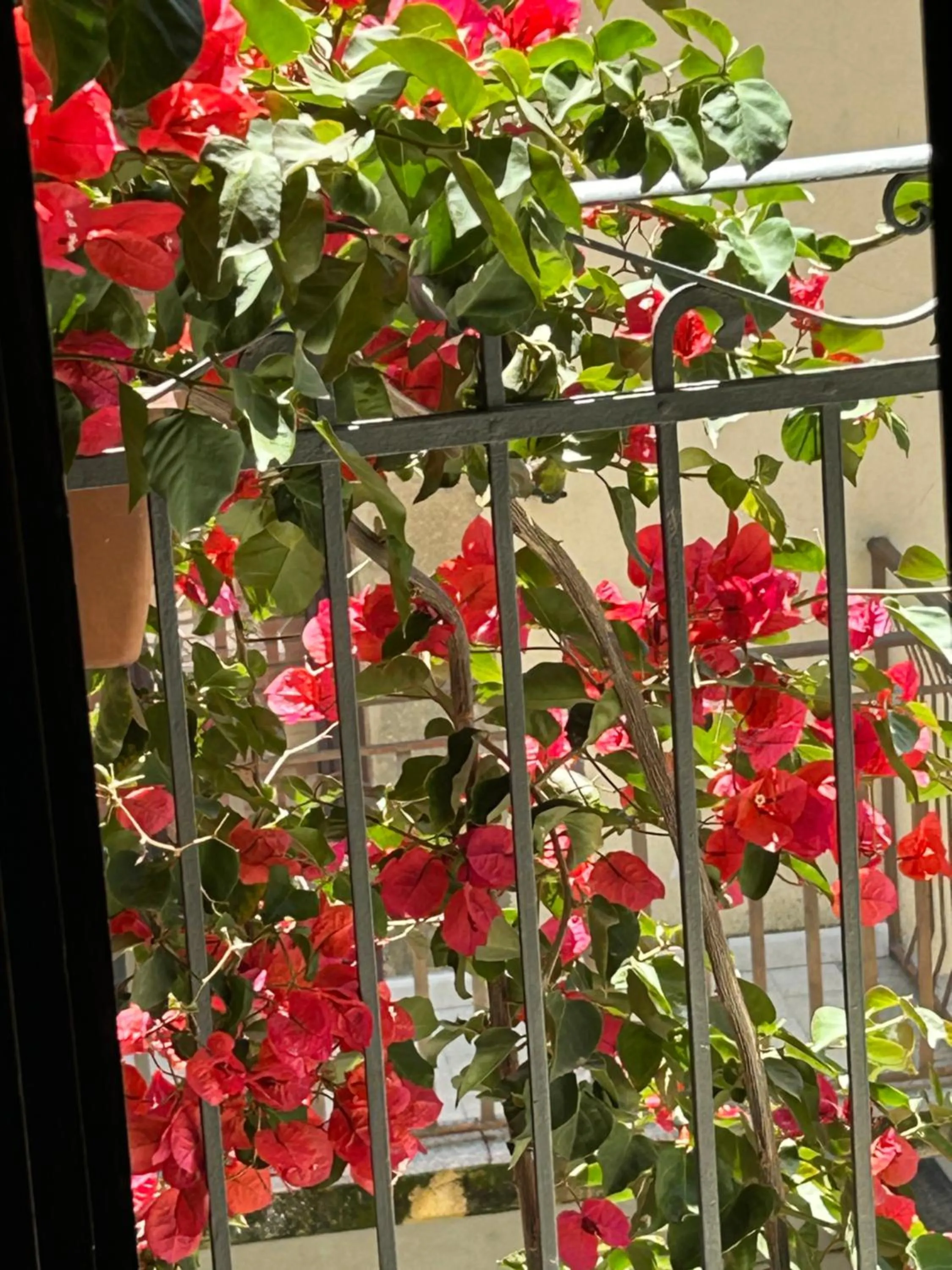 B&B L’Angolo sulla Piazza