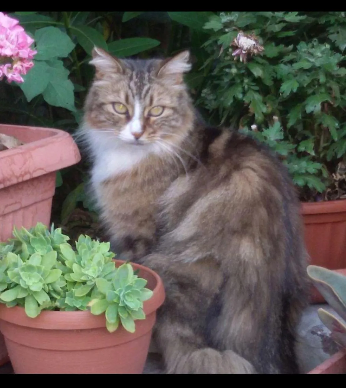 Restaurant/places to eat in Sabrina Airport