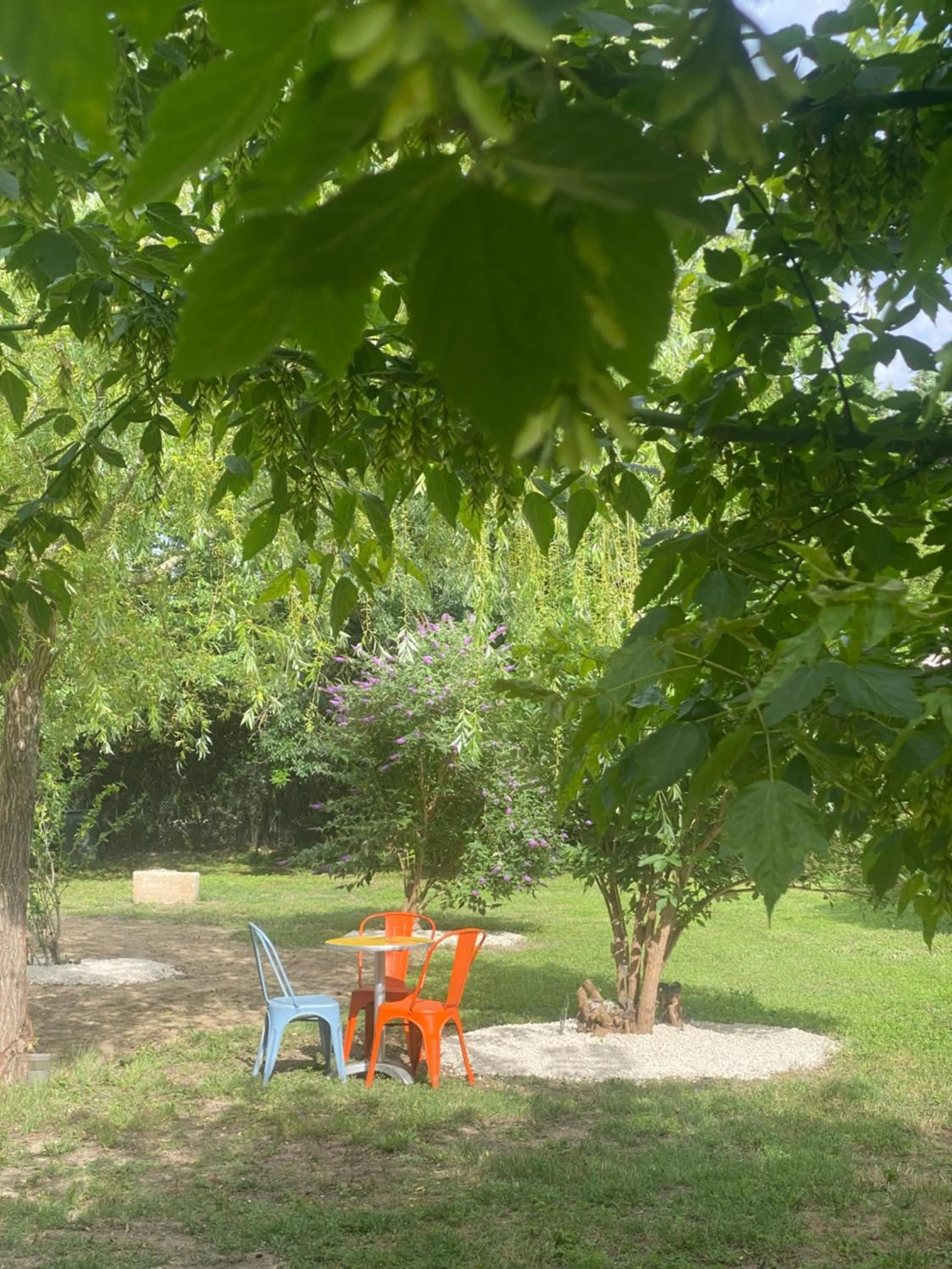 Garden view in Appartement Les Cyprès de l’Île