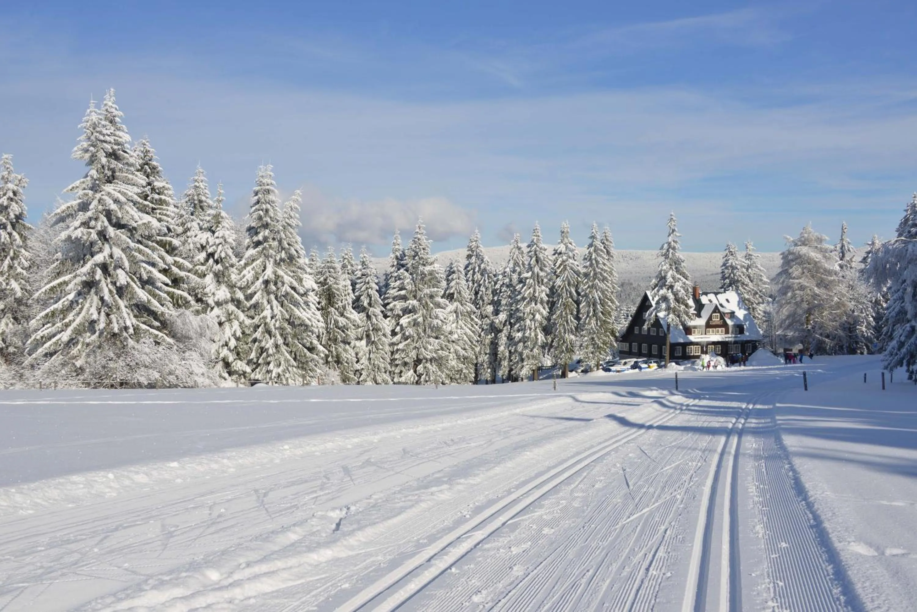 Facade/entrance in Prezidentská
