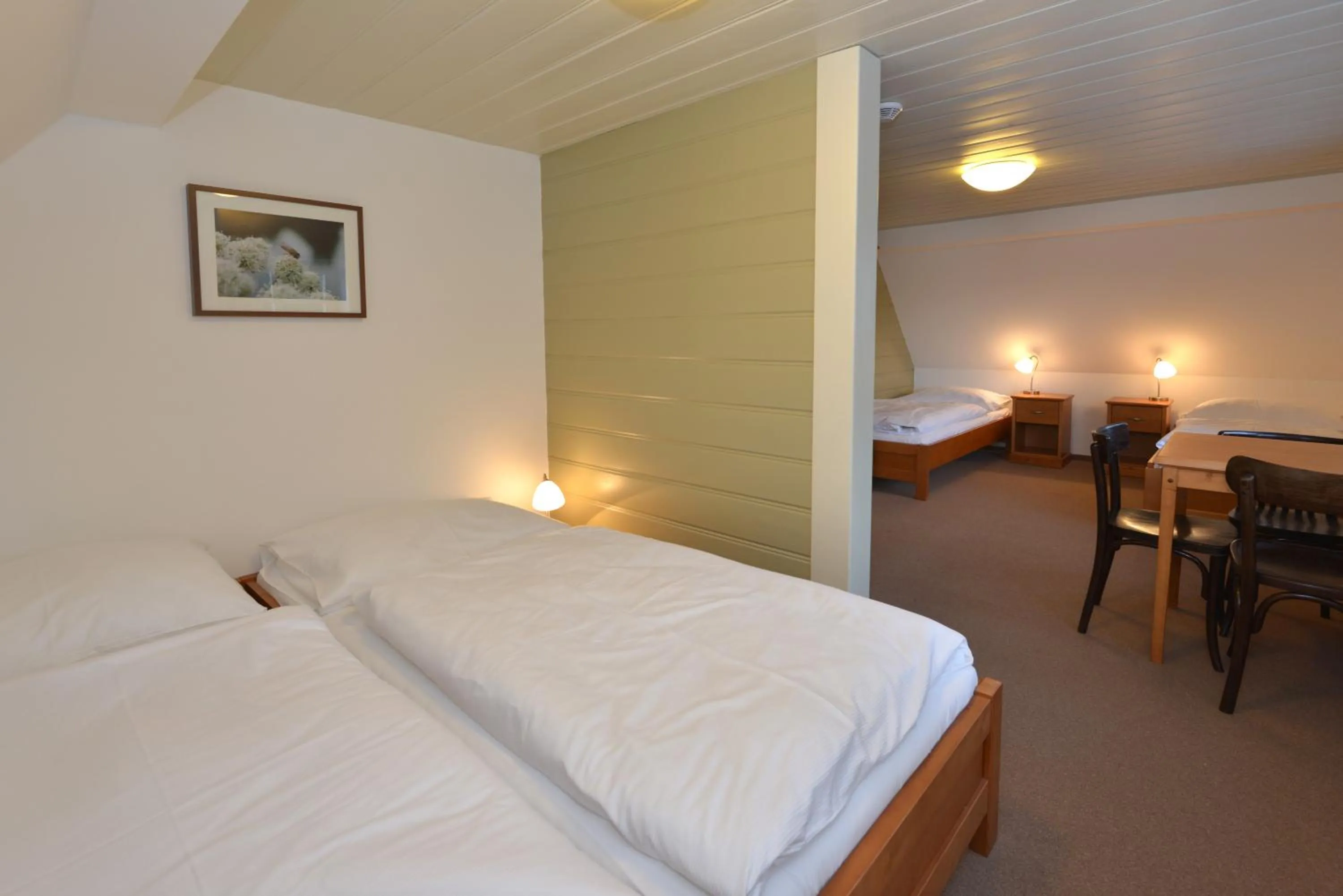 Photo of the whole room, Bed in Prezidentská