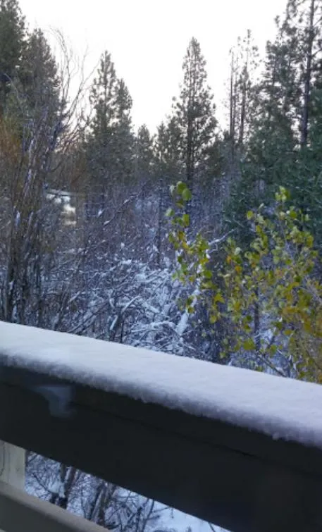 View (from property/room) in GetAways at the Lodge at Kingsbury Crossing