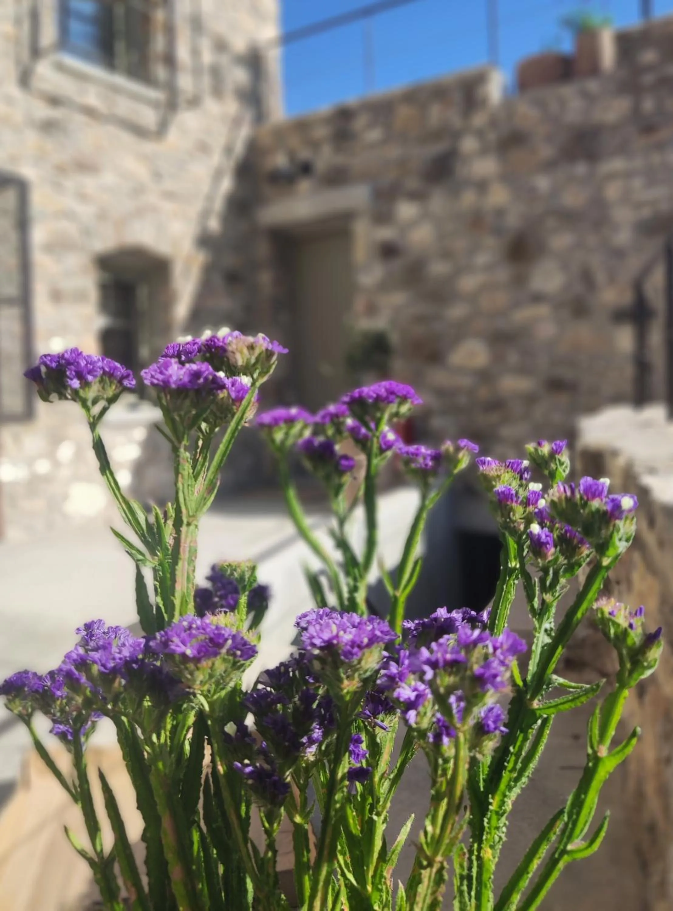 Garden view in Pyrgi Cretan Living & Spa