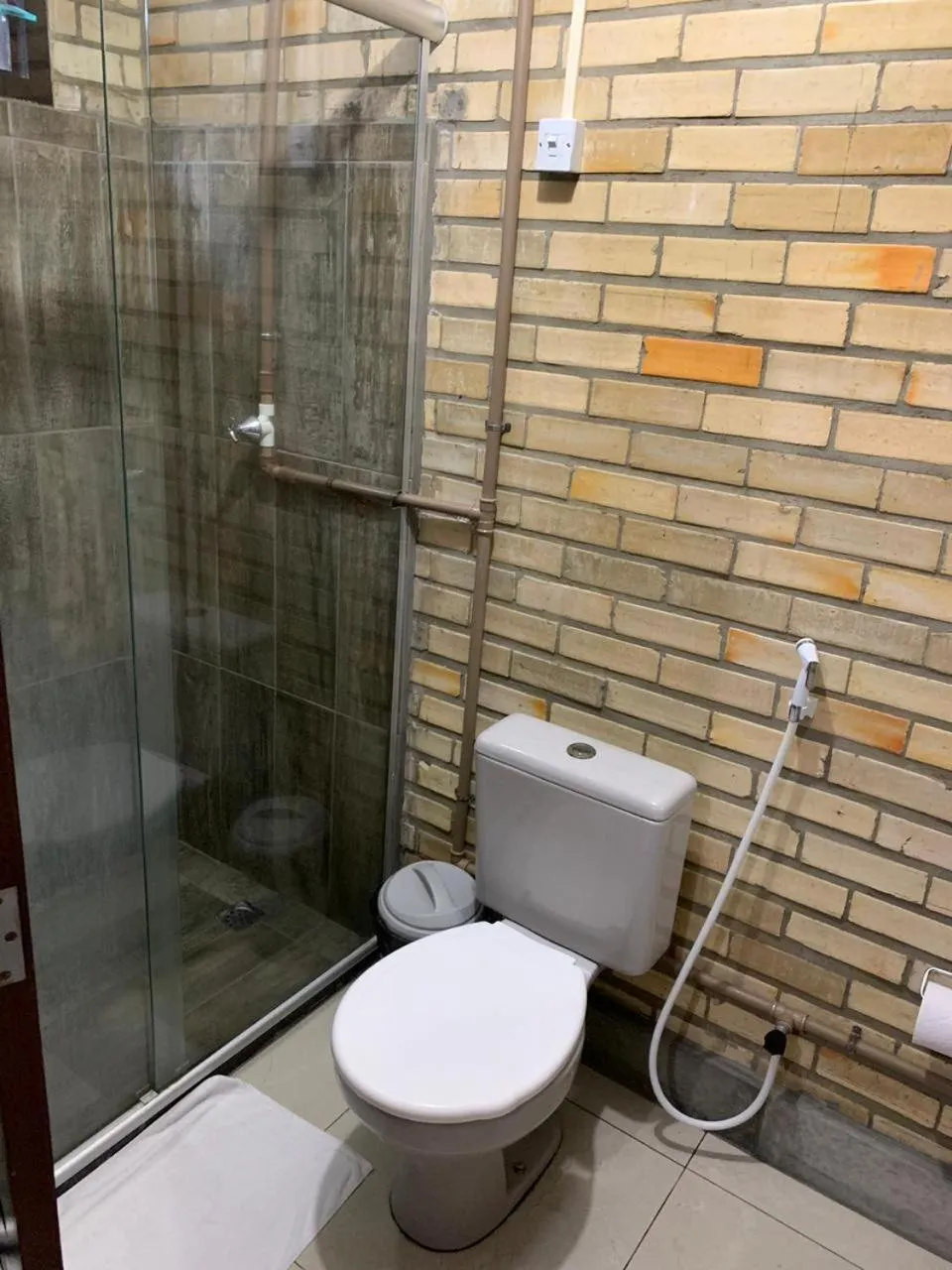 Toilet in Economy Flat