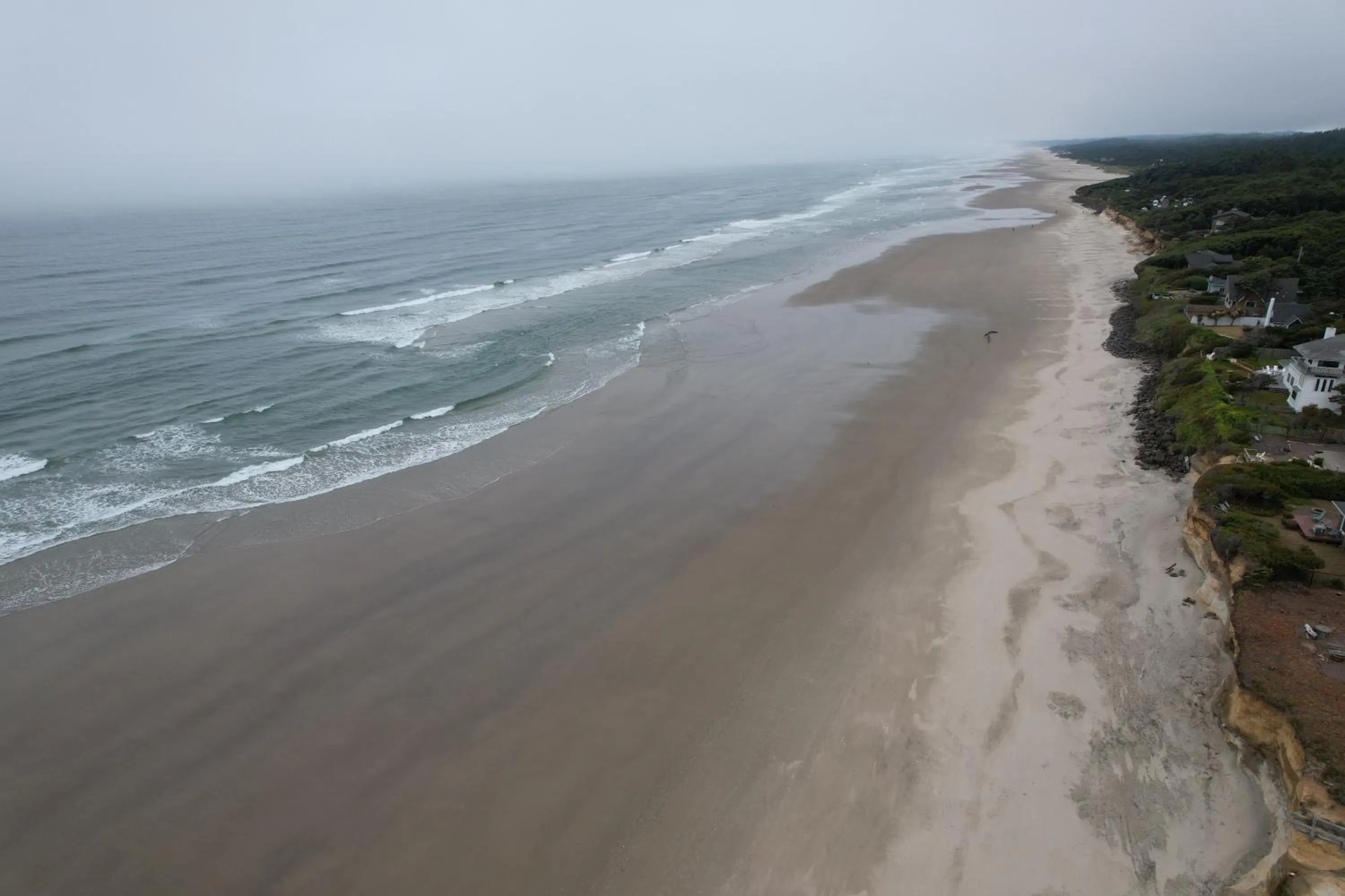 Natural landscape in Tillicum Beach Motel - Formerly Deane's Oceanfront Lodge