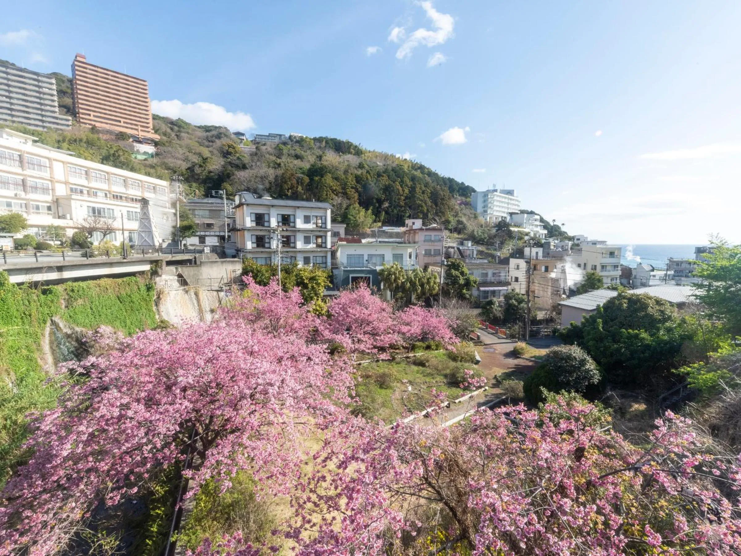 View (from property/room) in Izu Atagawa Onsen Miharuya