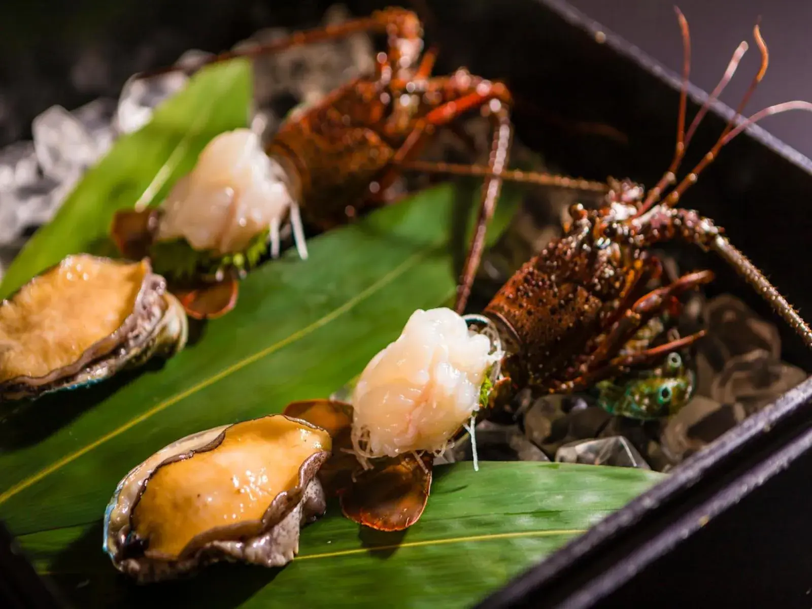 Izu Atagawa Onsen Miharuya Izu Atagawa Onsen Miharuya