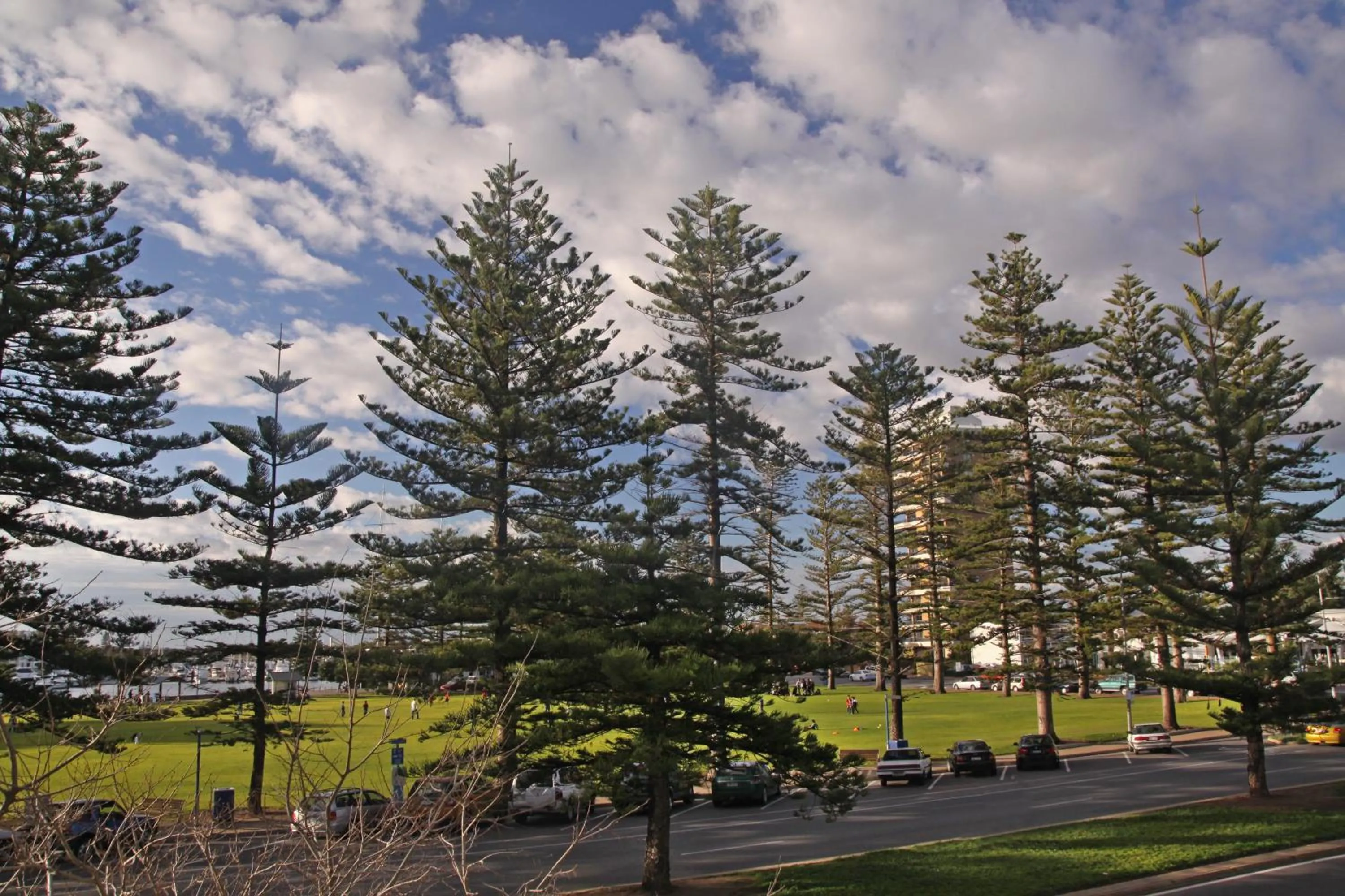 Garden view in Bayview Apartments Glenelg