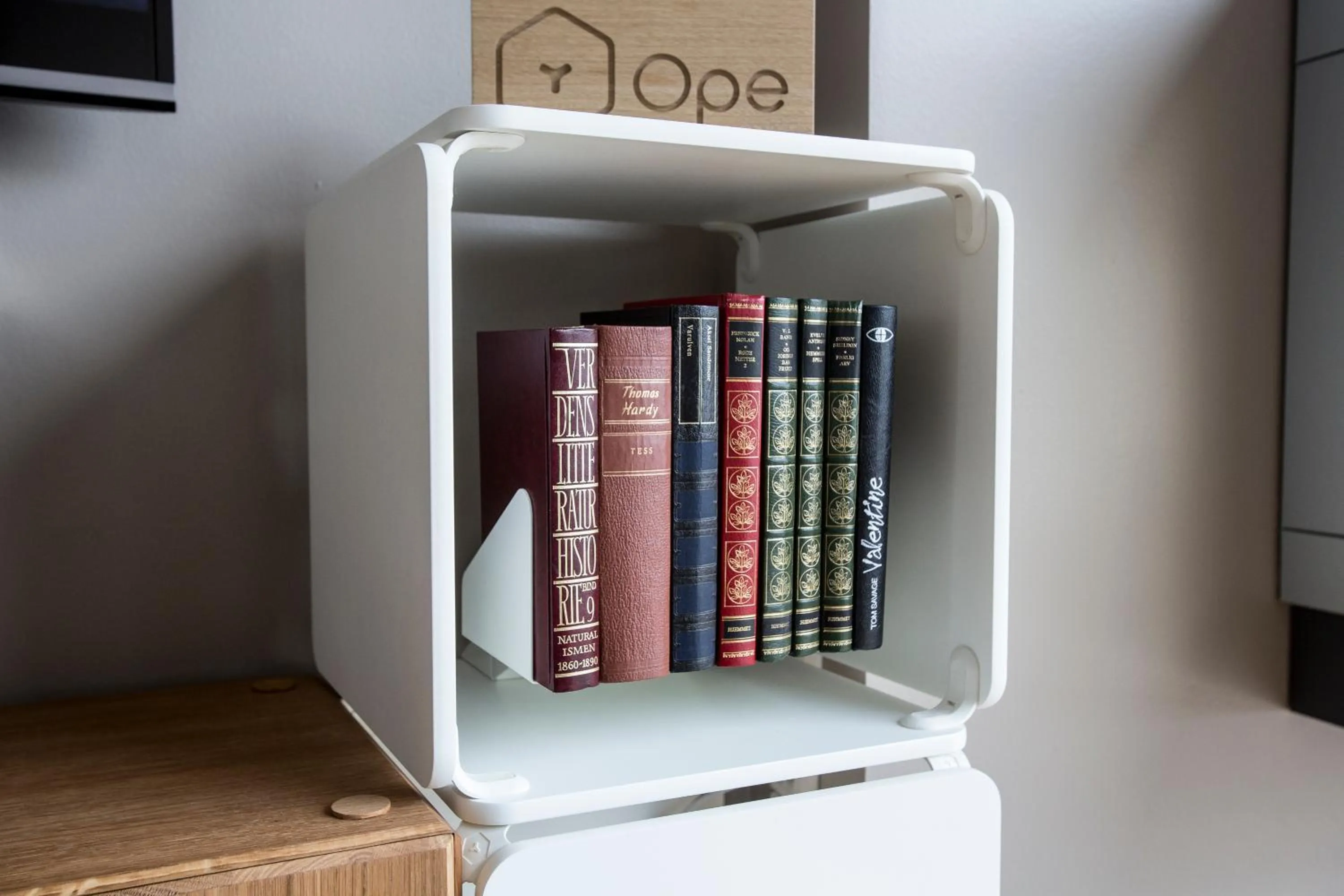 Decorative detail in Klostergaarden leilighetshotell AS - Best Housing Apartments