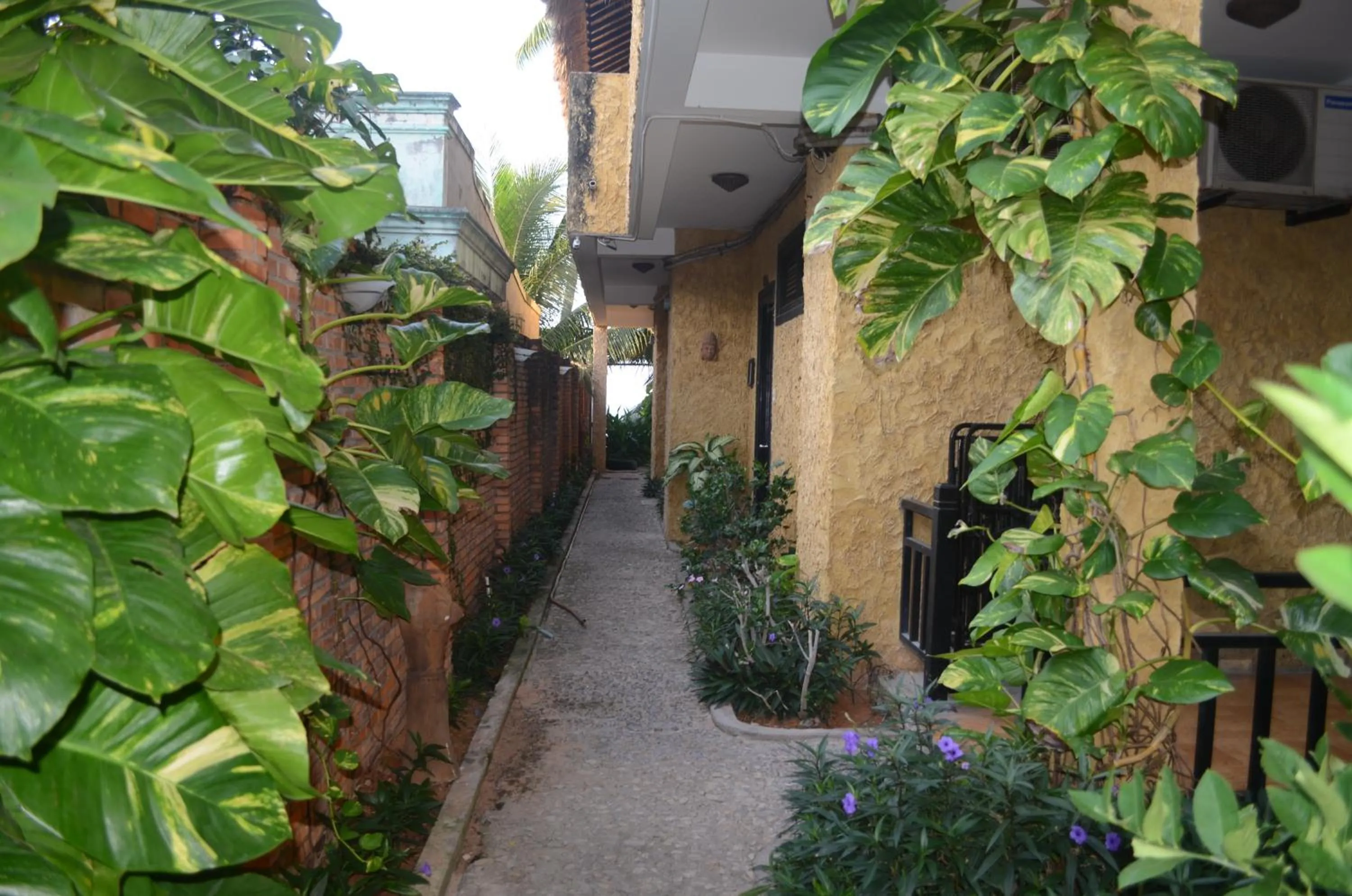 Garden in Rang Garden Beach Side