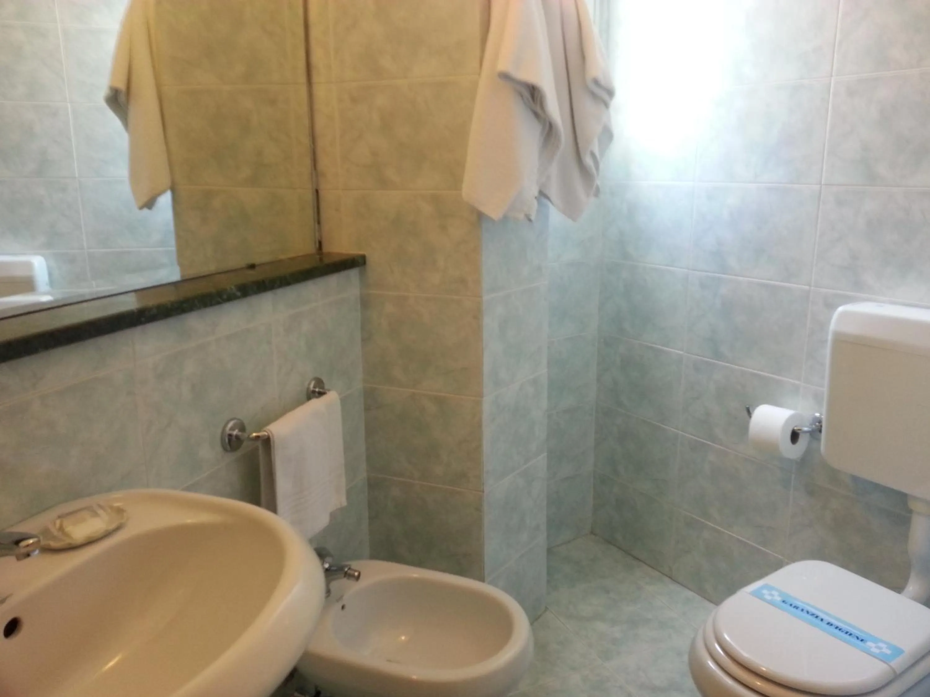 Toilet in Hotel President