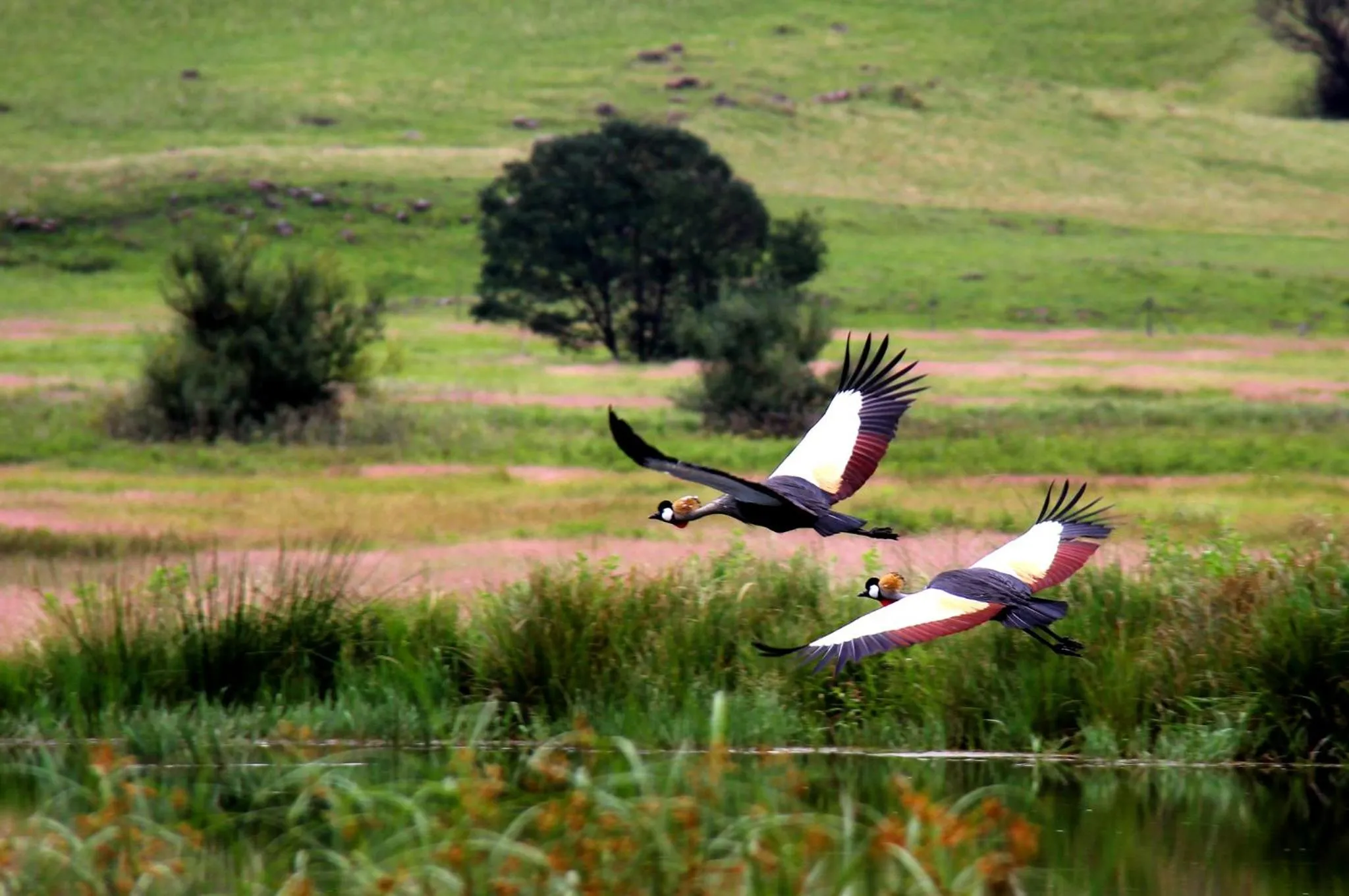 Natural landscape in Sani Valley Nature Lodges