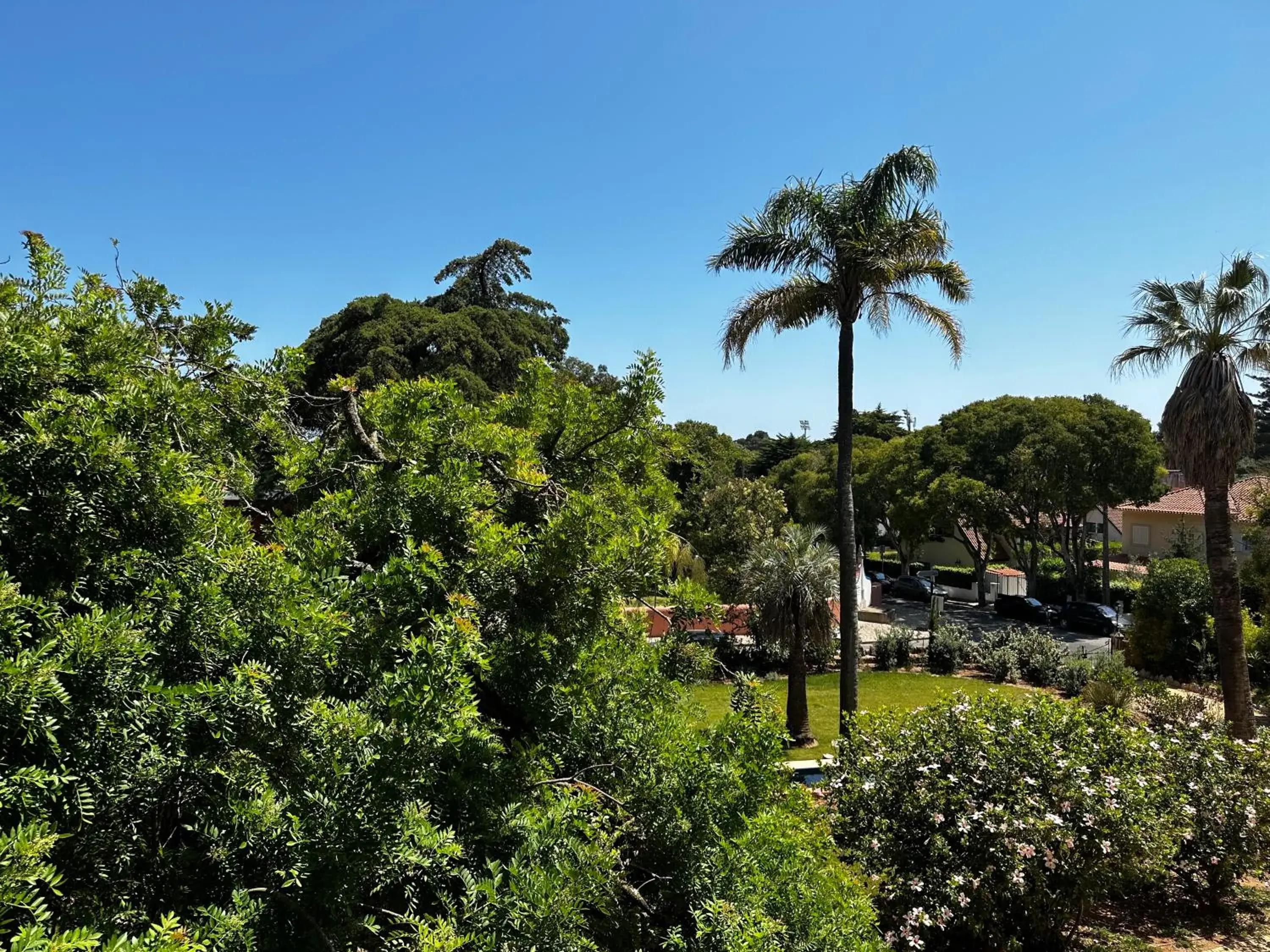 Garden view in Chalet Ficalho Garden view in Chalet Ficalho