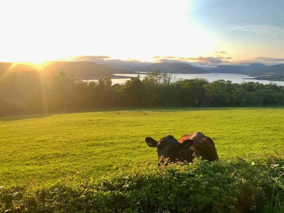 Bayside - Breathtaking views of the Clyde