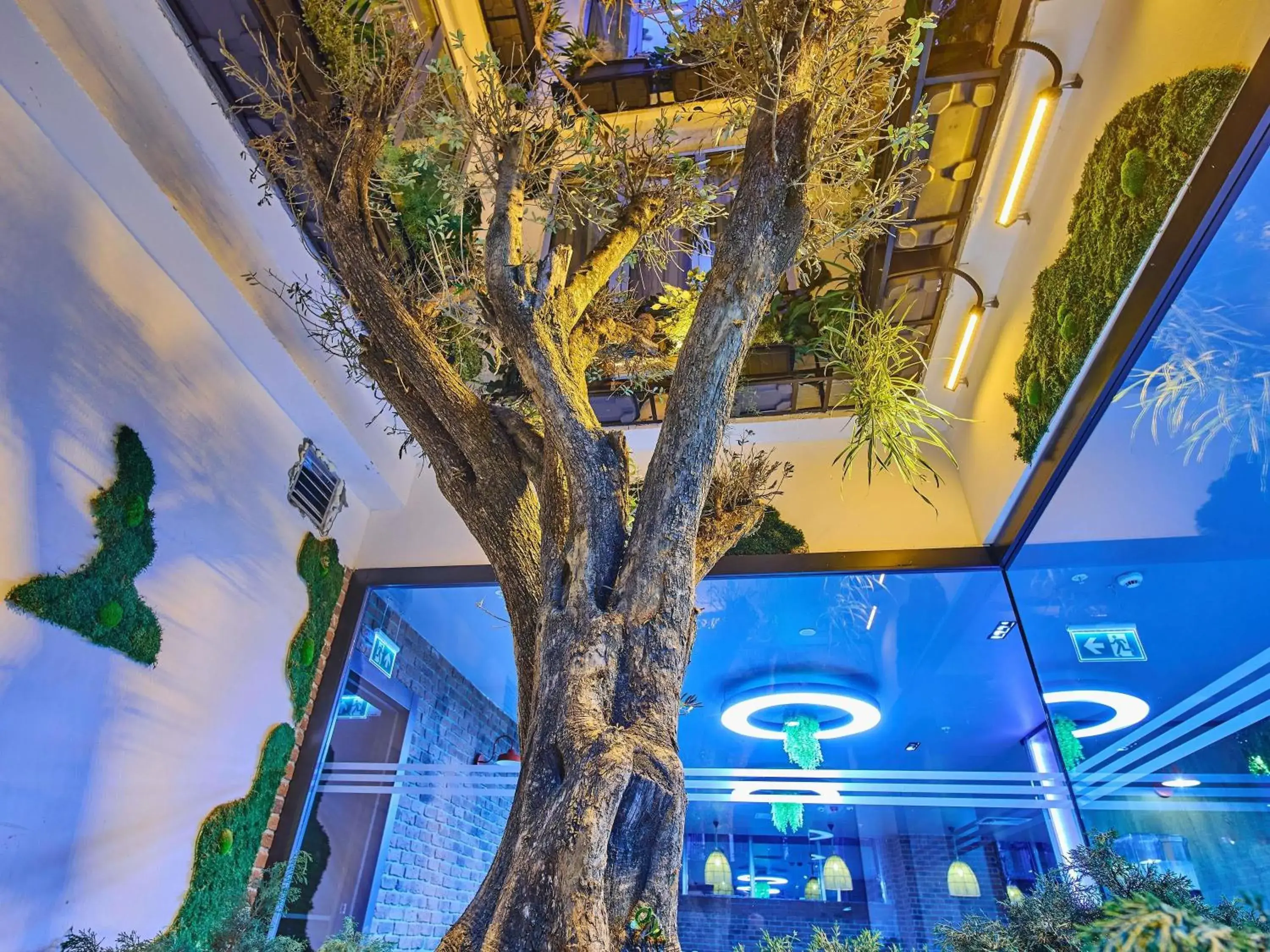 Restaurant/places to eat in Ibis Istanbul Airport Restaurant/places to eat in Ibis Istanbul Airport