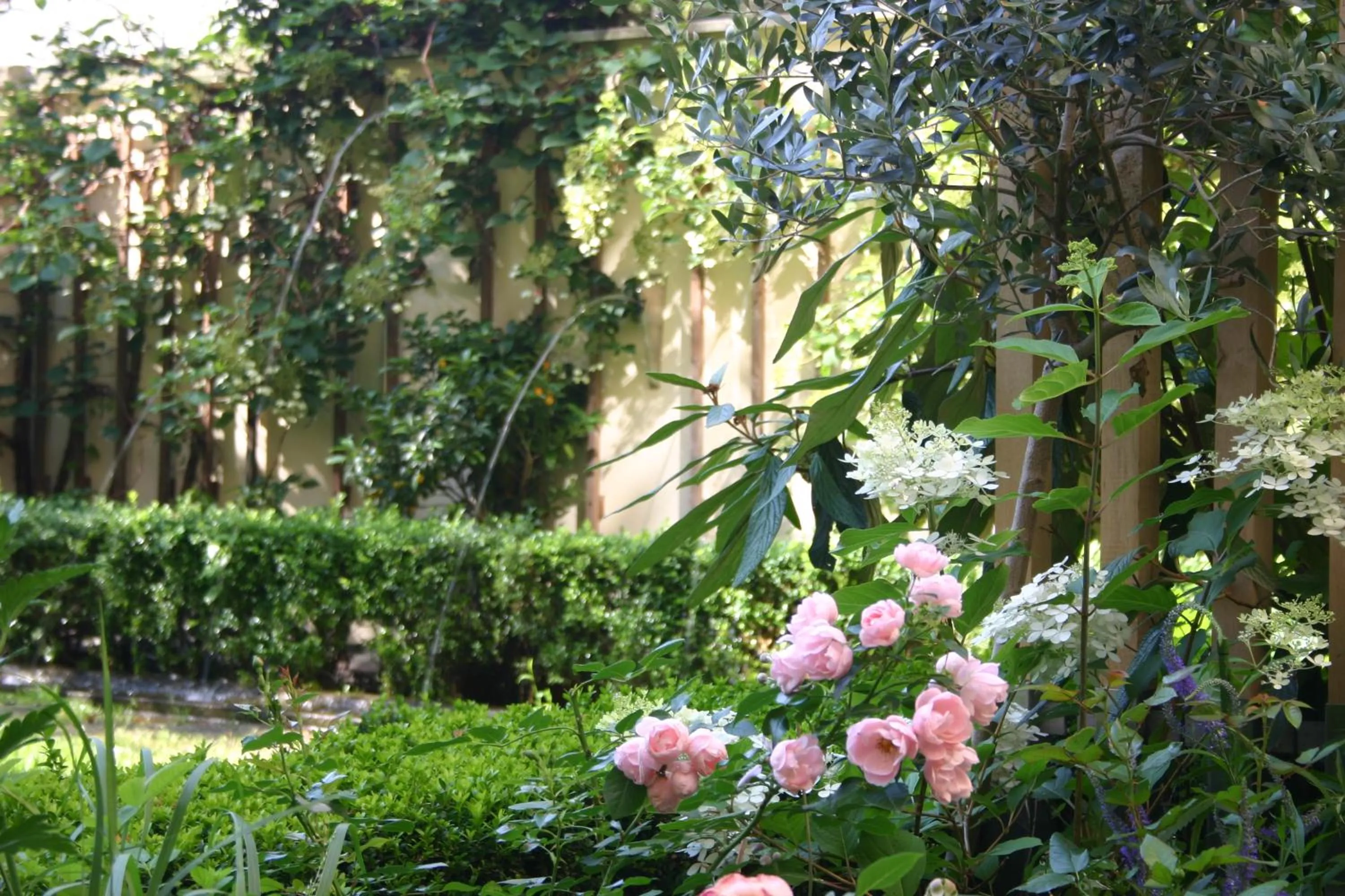Garden in Hofgärtnerhaus