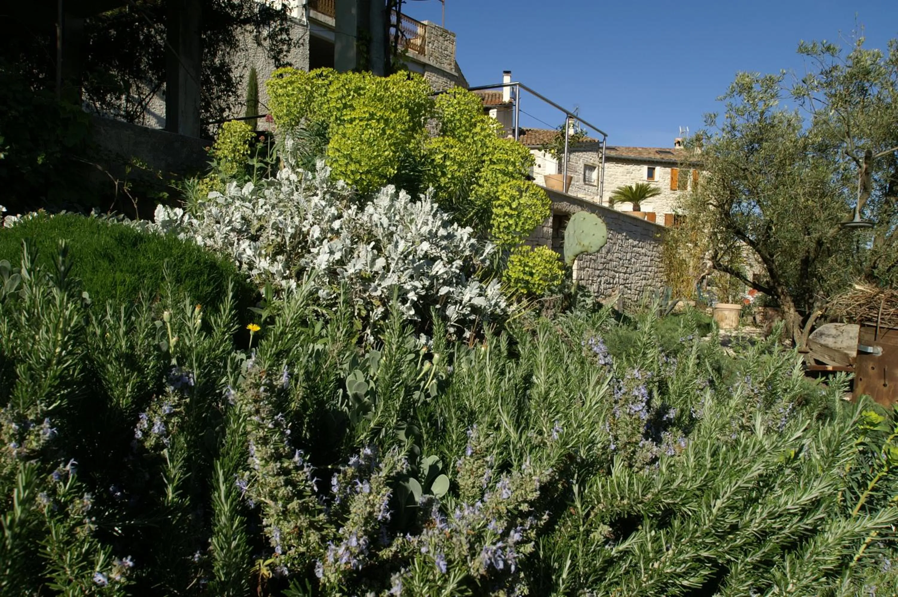 Garden in La Maison du Passage - Chambres - Suites premium, Spa, Piscine et Restaurant