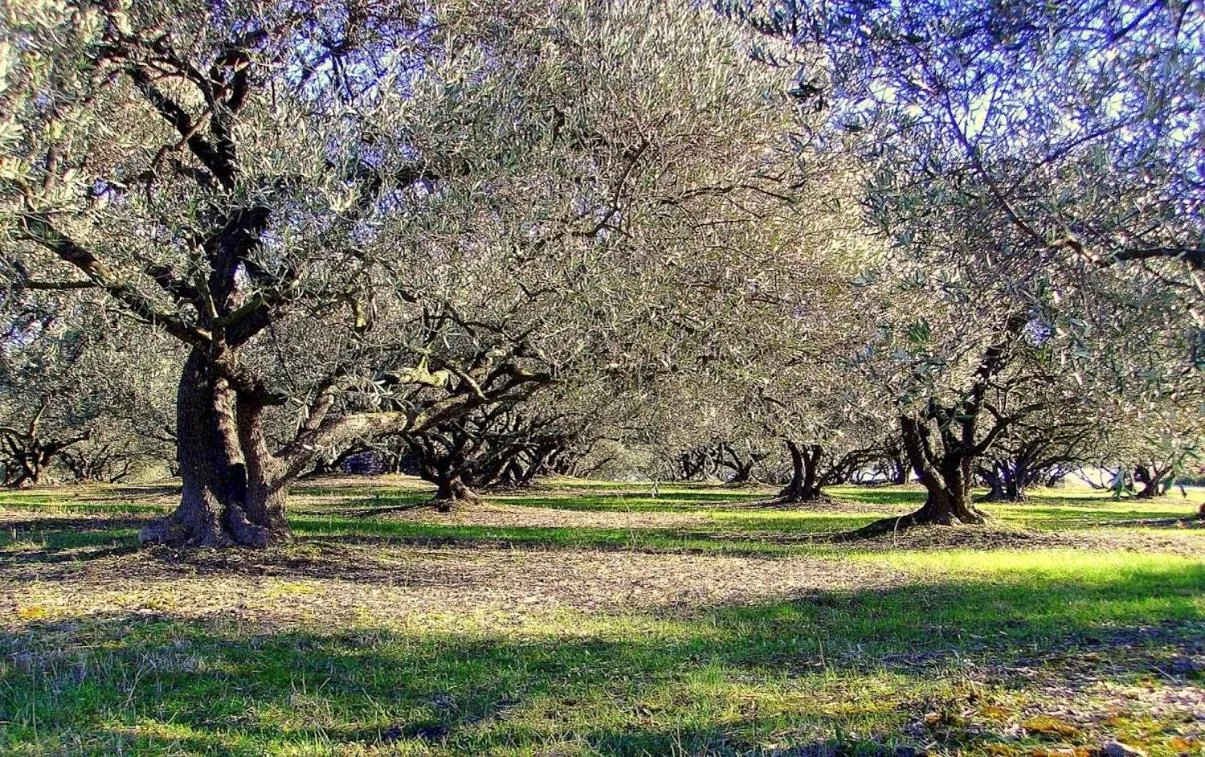 Area and facilities in La Maison du Passage - Chambres - Suites premium, Spa, Piscine et Restaurant