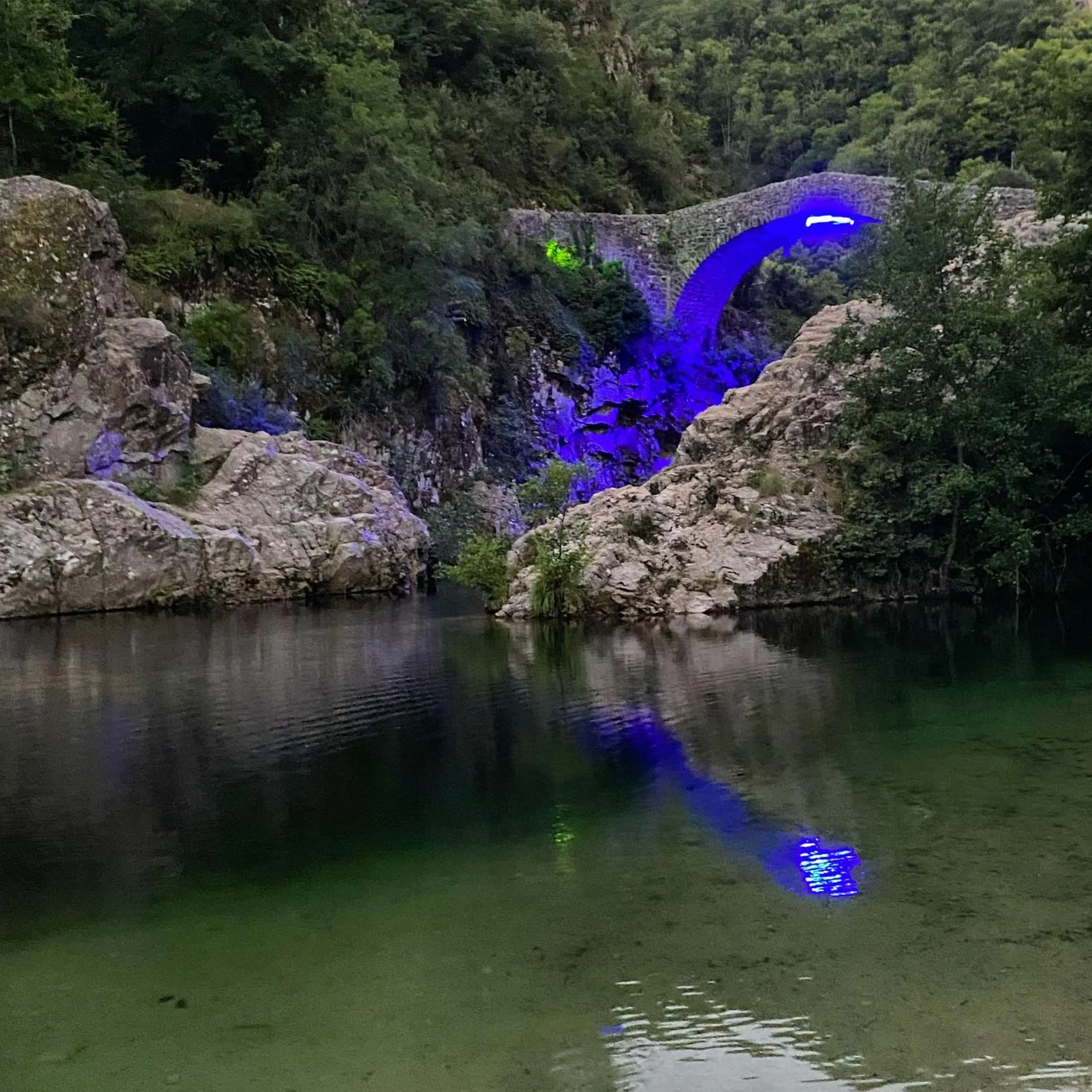 HOTEL LES MARRONNIERS