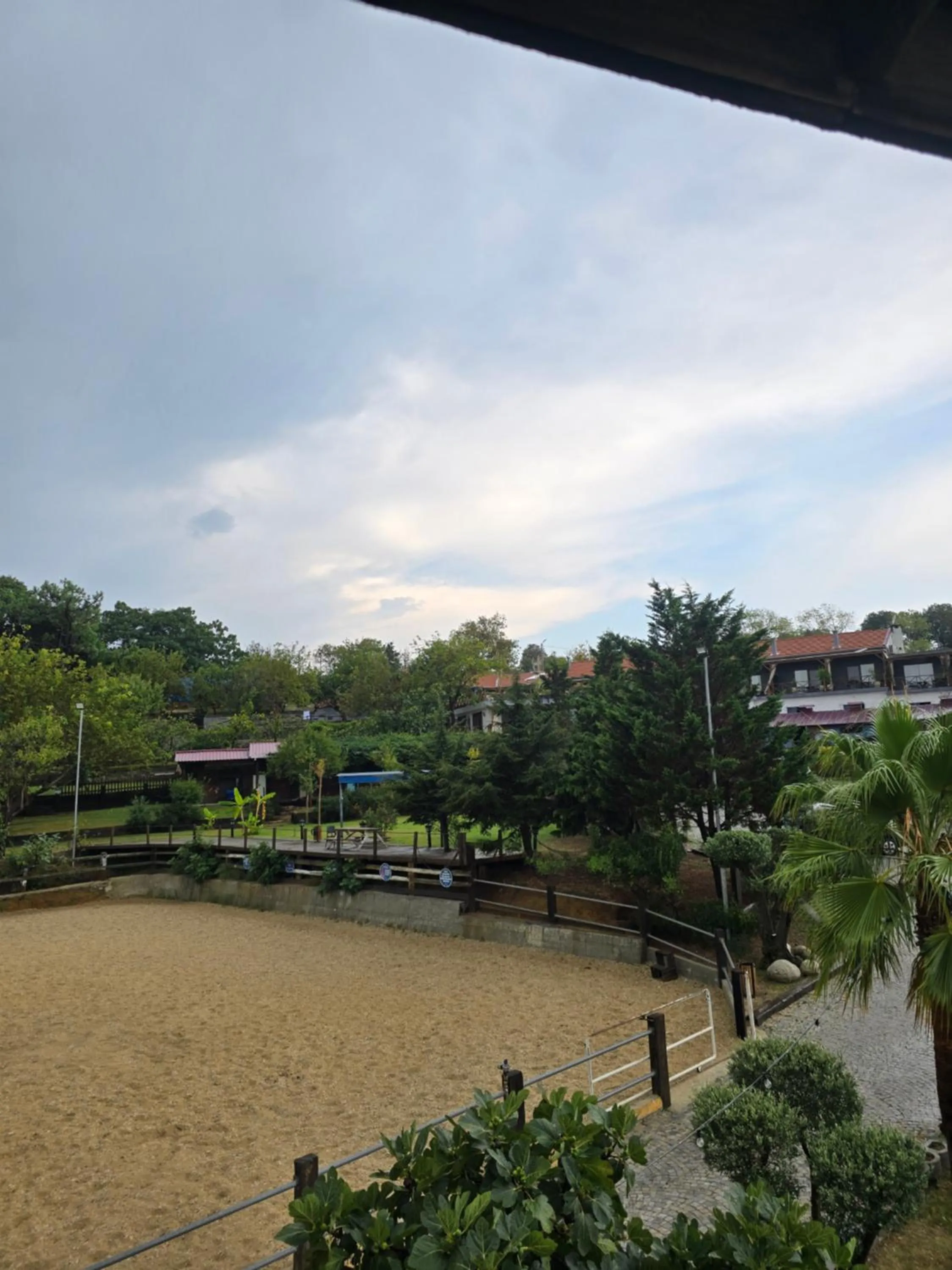 Horse-riding in MAVİ AT HOTEL Blue Horse