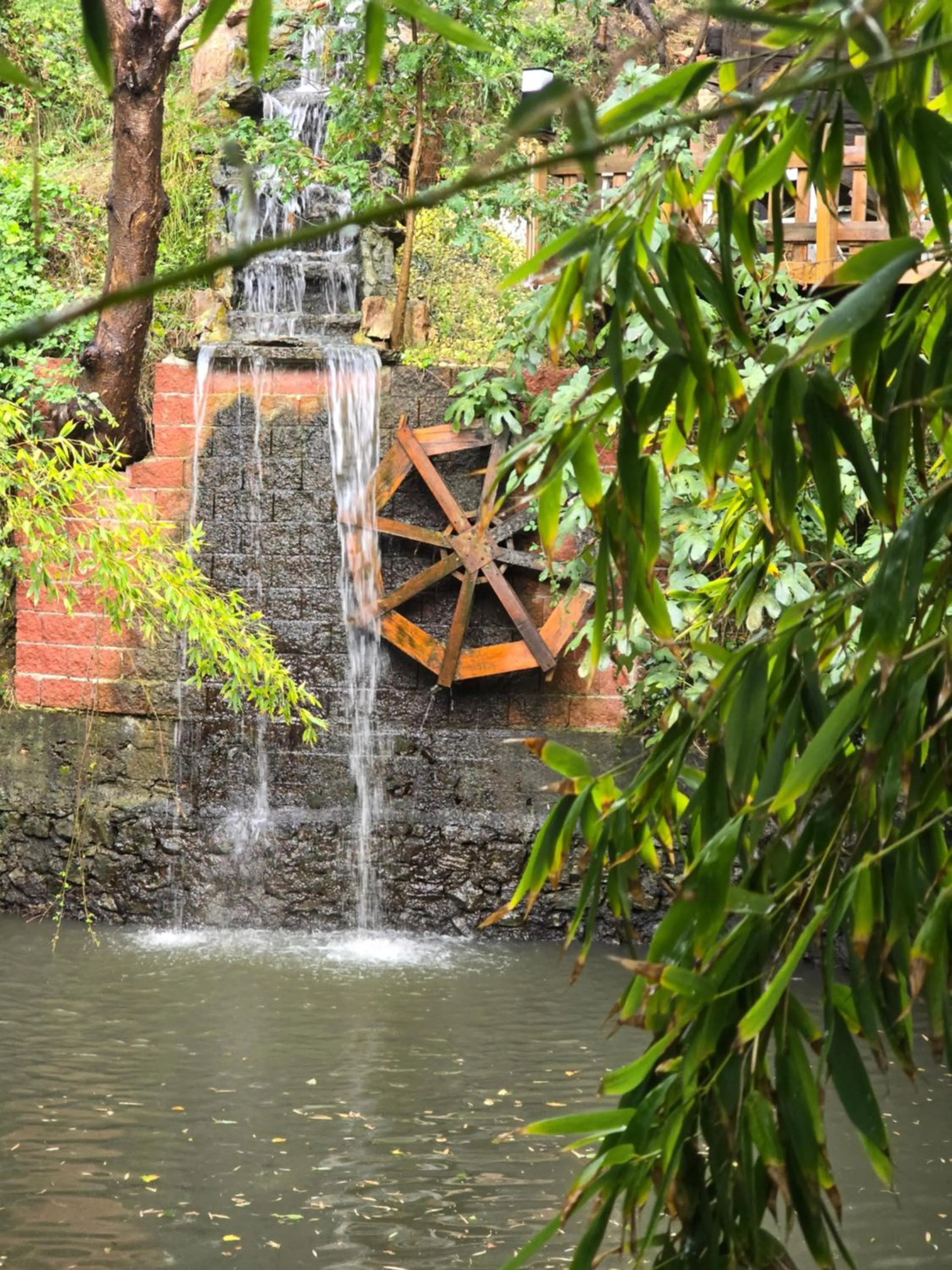 Lake view in MAVİ AT HOTEL Blue Horse